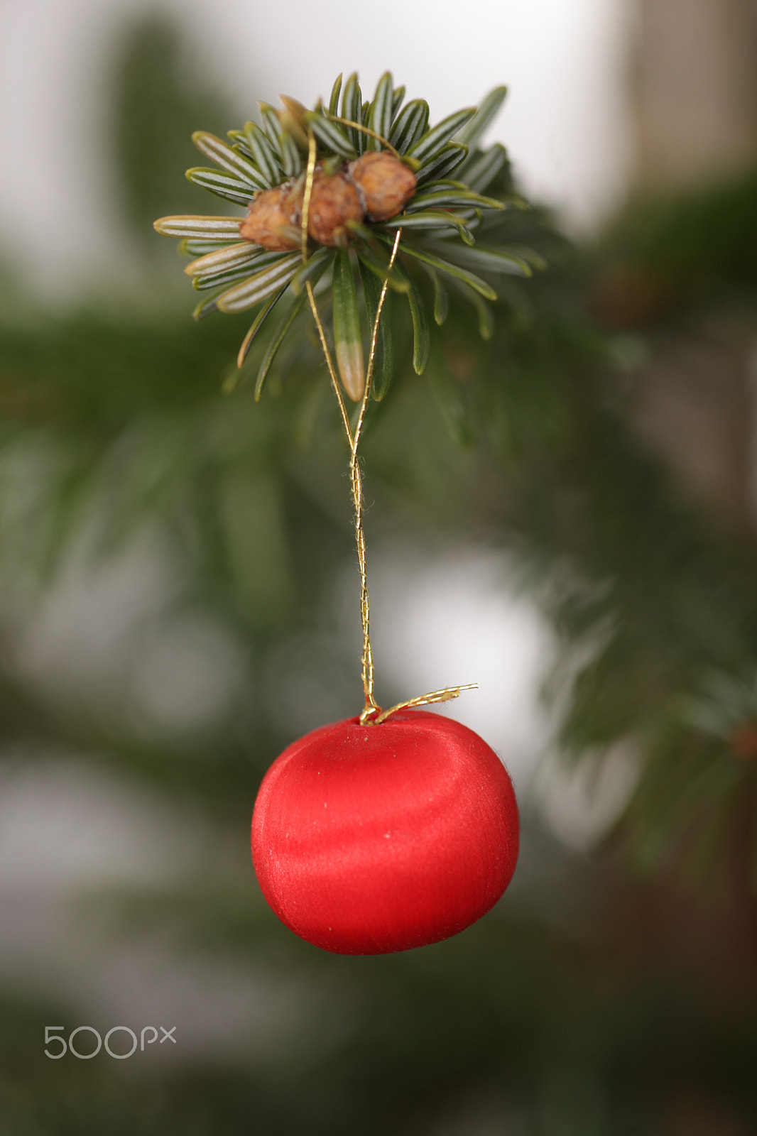 Canon EOS 5D Mark II + Tamron SP AF 90mm F2.8 Di Macro sample photo. Christmas tree photography