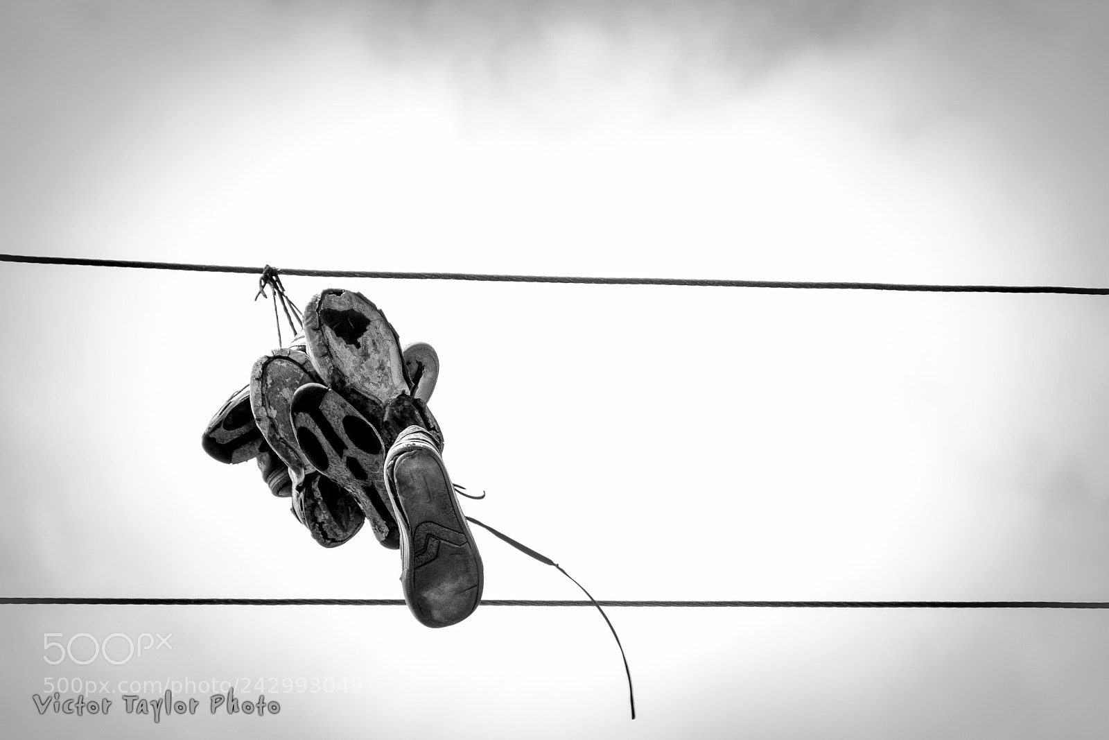 Nikon D7100 sample photo. I rather birds photography