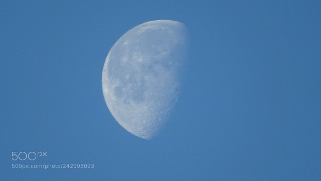 Sony Cyber-shot DSC-HX400V sample photo. Untitled photography