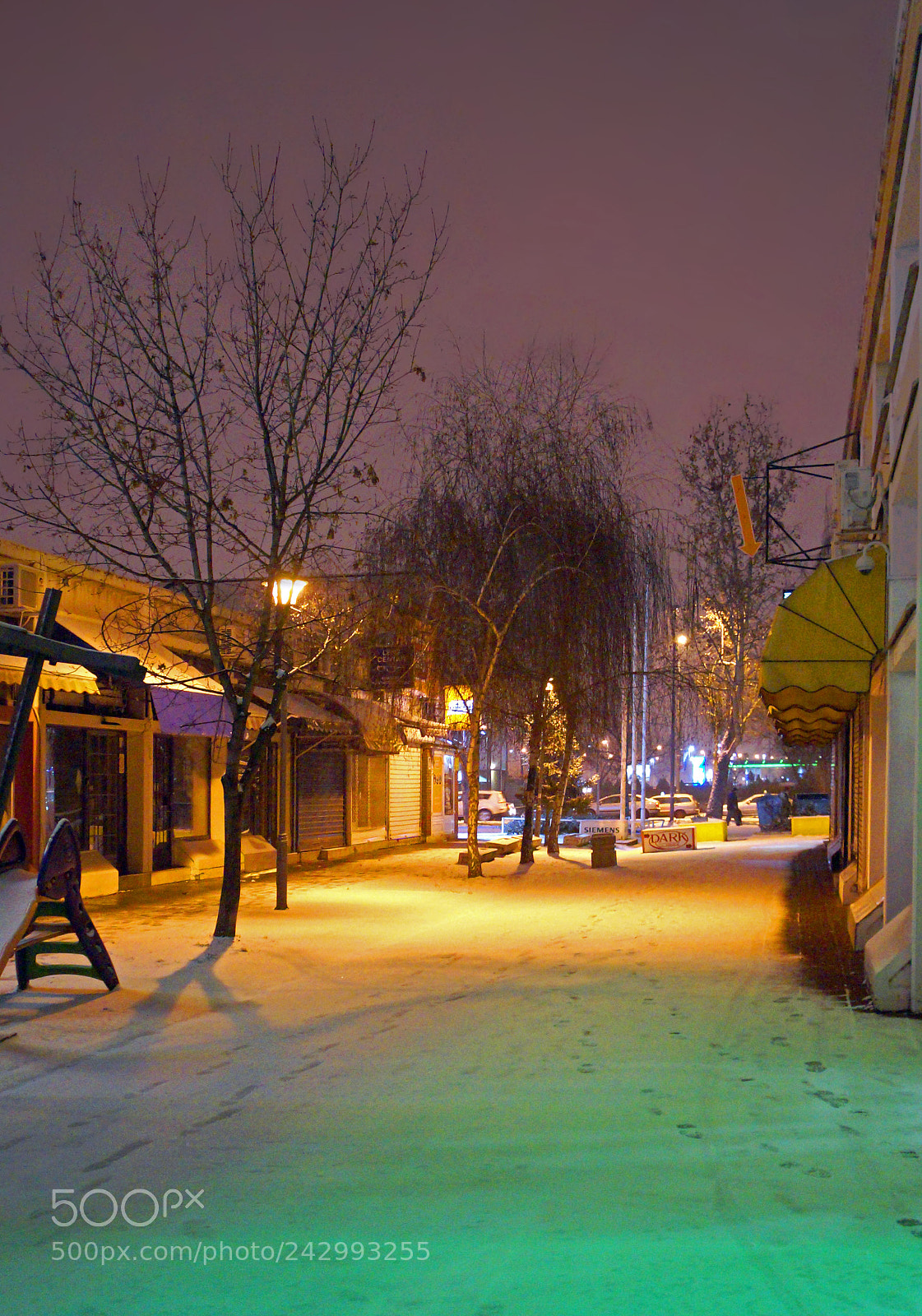 Sony Alpha a3000 sample photo. Winter on the street photography