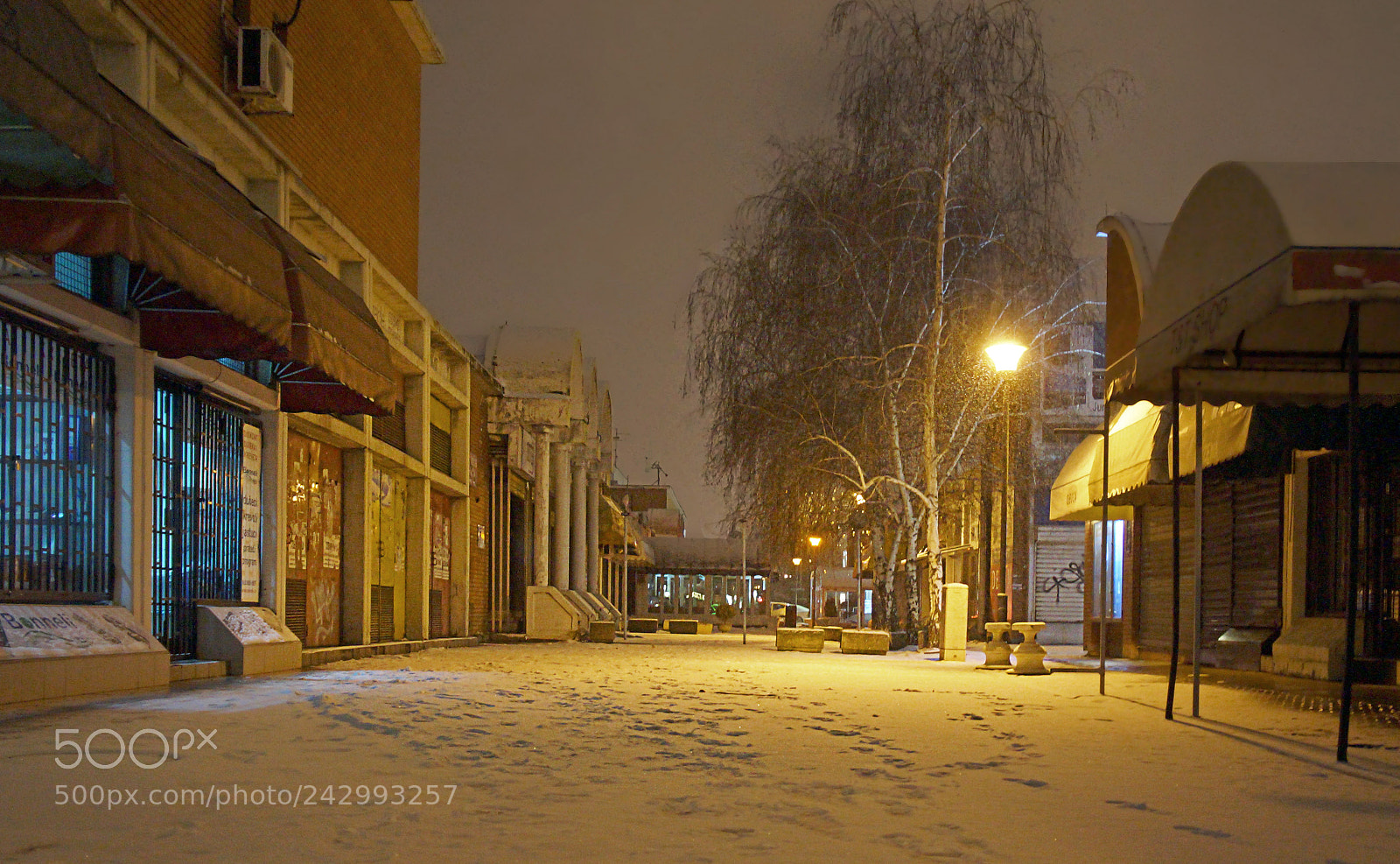 Sony Alpha a3000 sample photo. Winter night on the photography