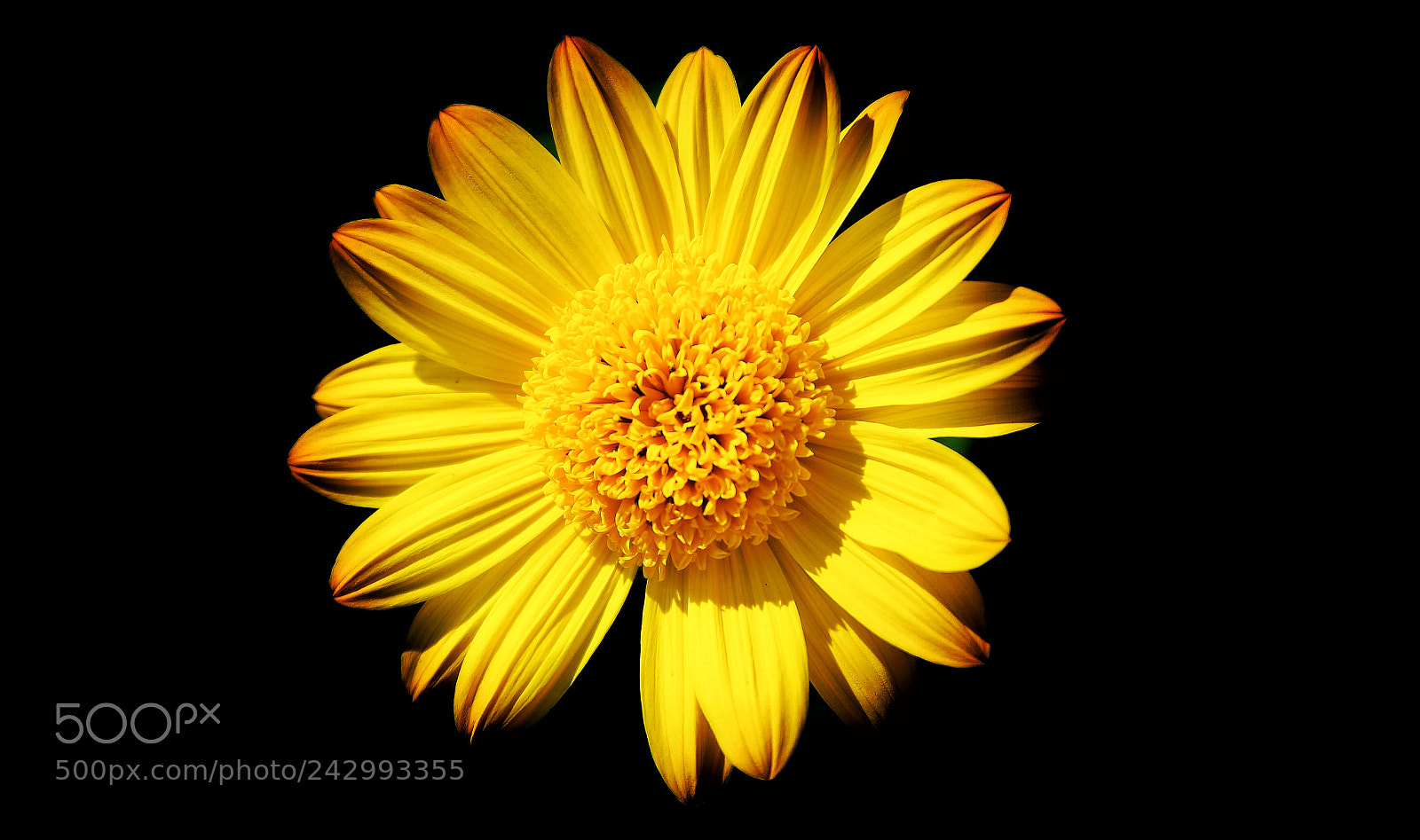 Samsung NX1 sample photo. Light and color from photography
