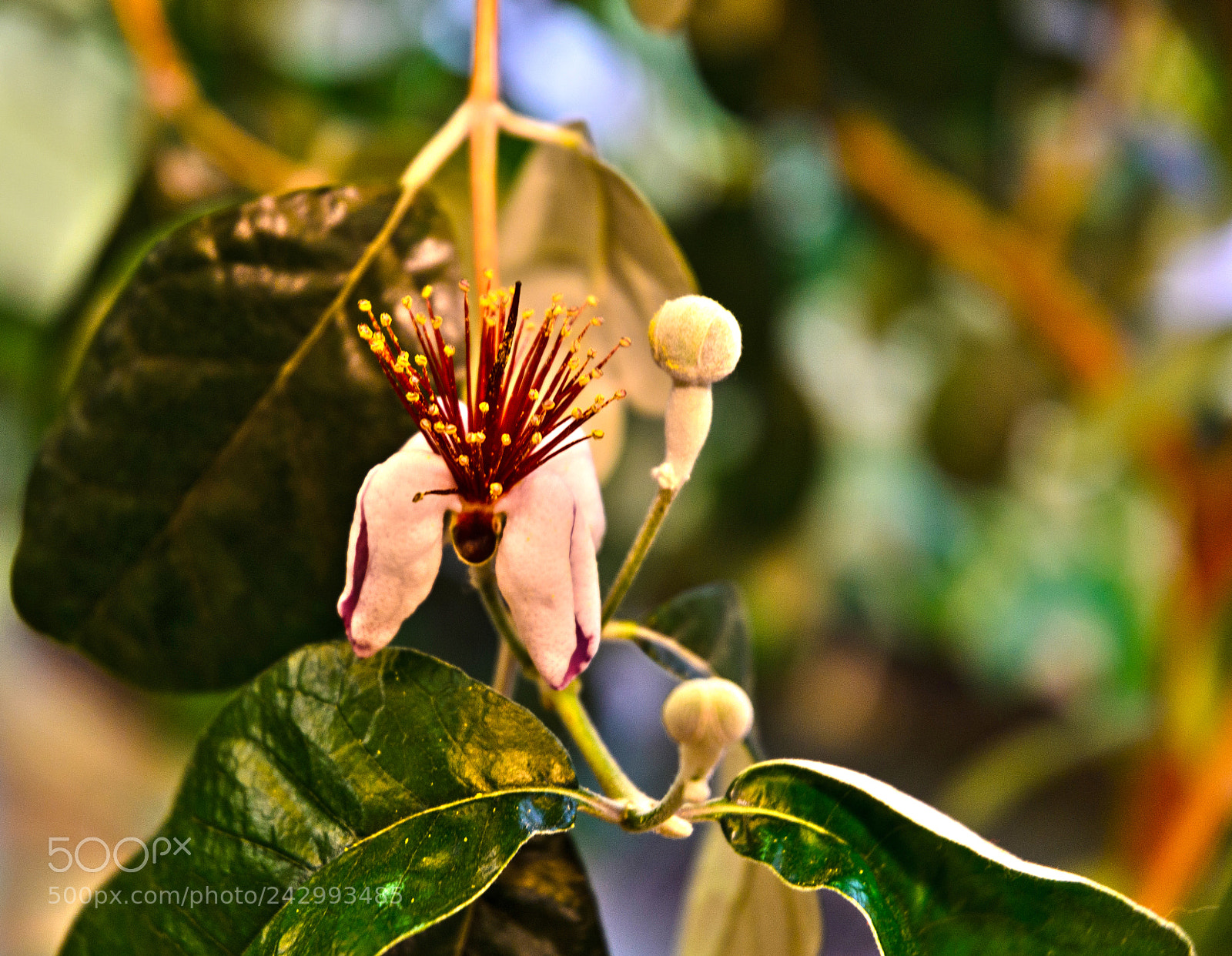Nikon D5100 sample photo. 284 photography
