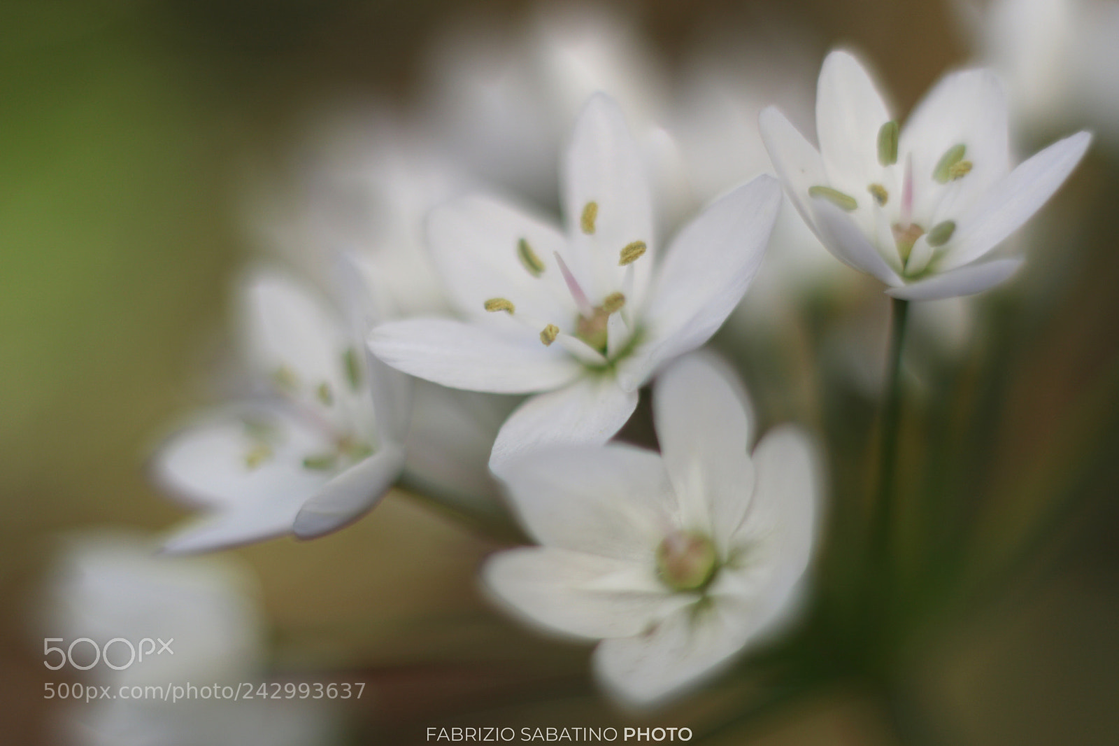 Canon EOS M3 sample photo. Untitled photography