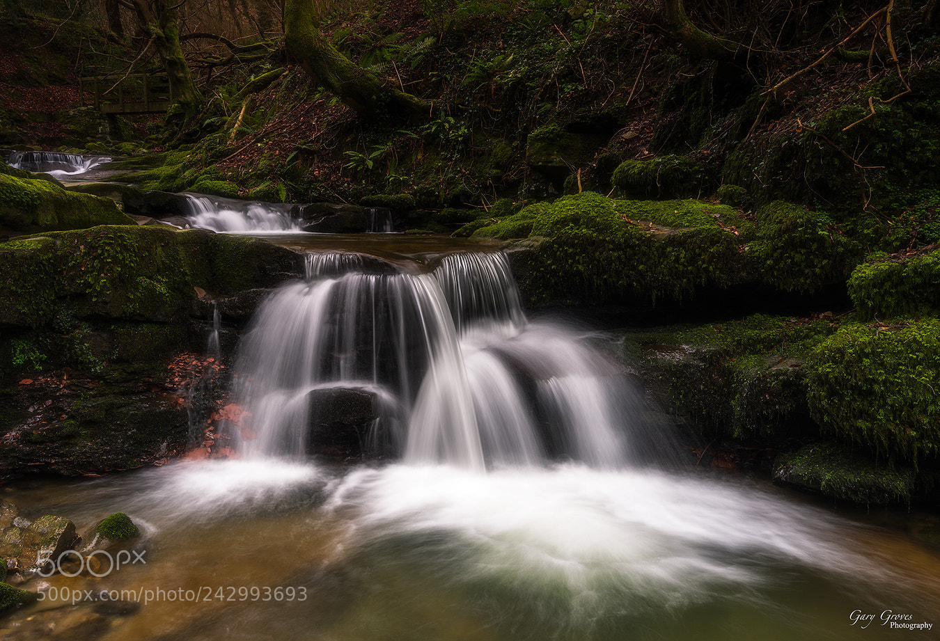 Nikon D810 sample photo. Clydach gorge photography