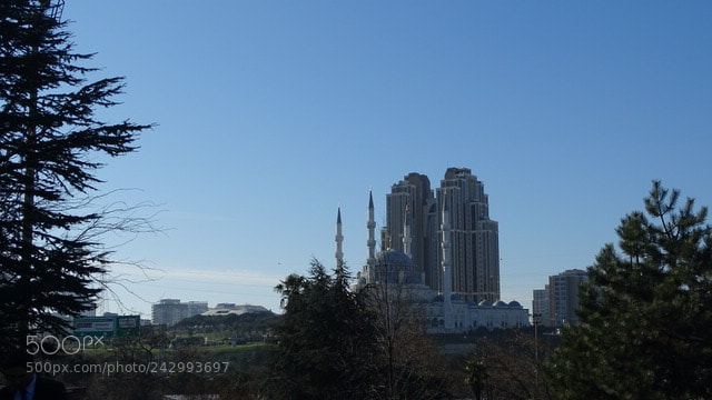 Sony Cyber-shot DSC-HX400V sample photo. Untitled photography