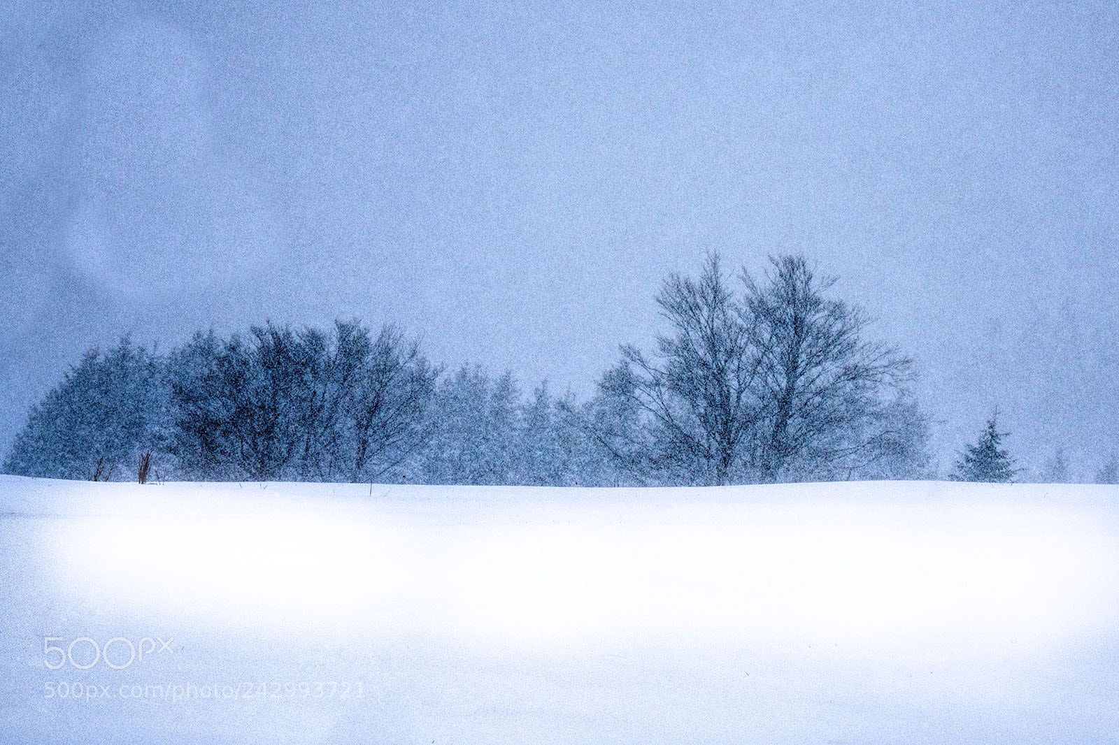 Olympus OM-D E-M5 II sample photo. Blizzard in austria photography