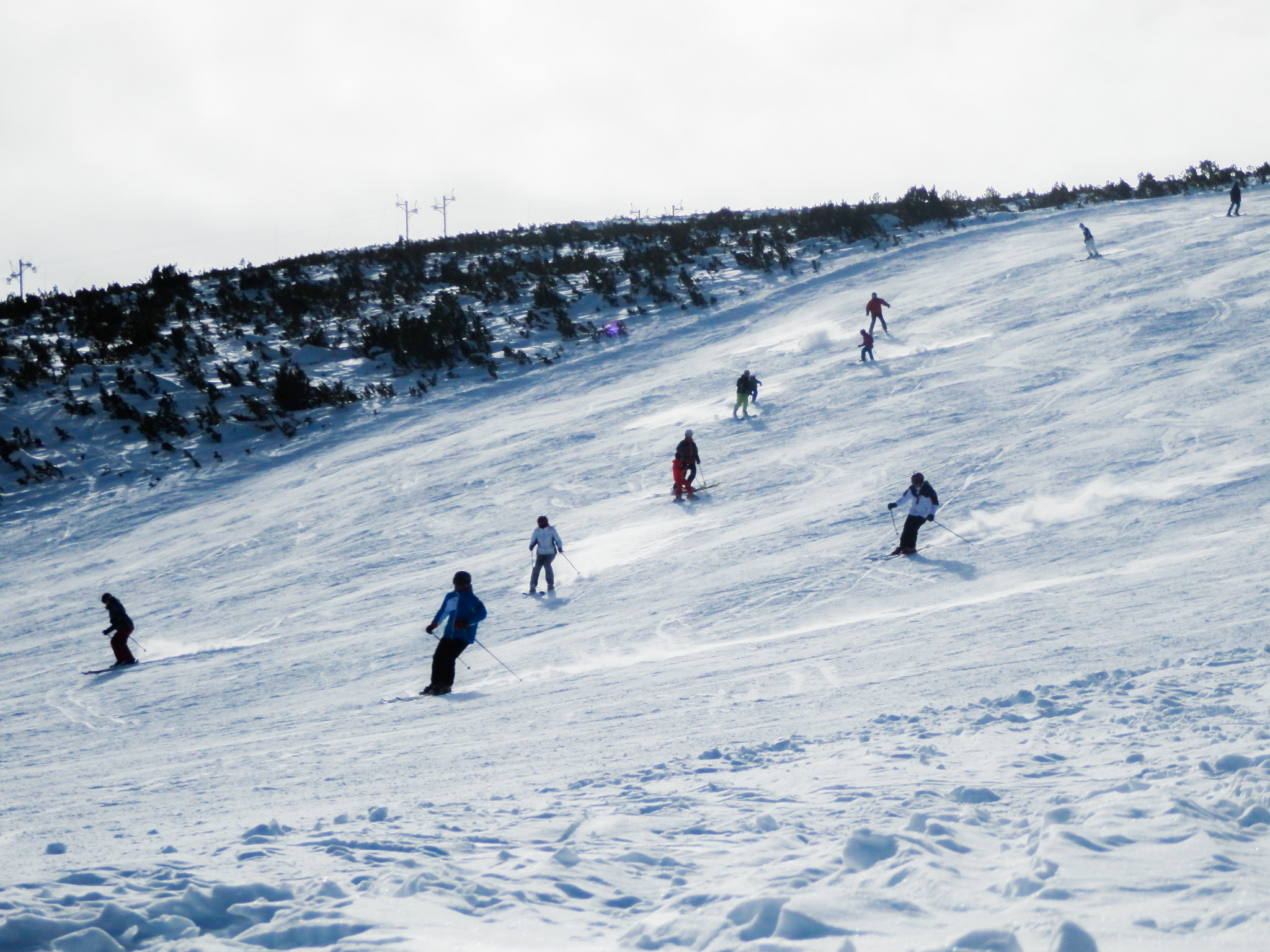 Olympus SZ-30MR sample photo. The best of the winter photography