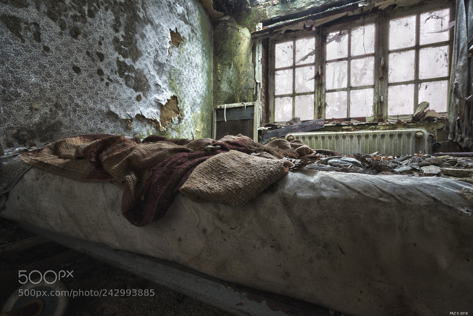 Sony a7R sample photo. Succumb photography