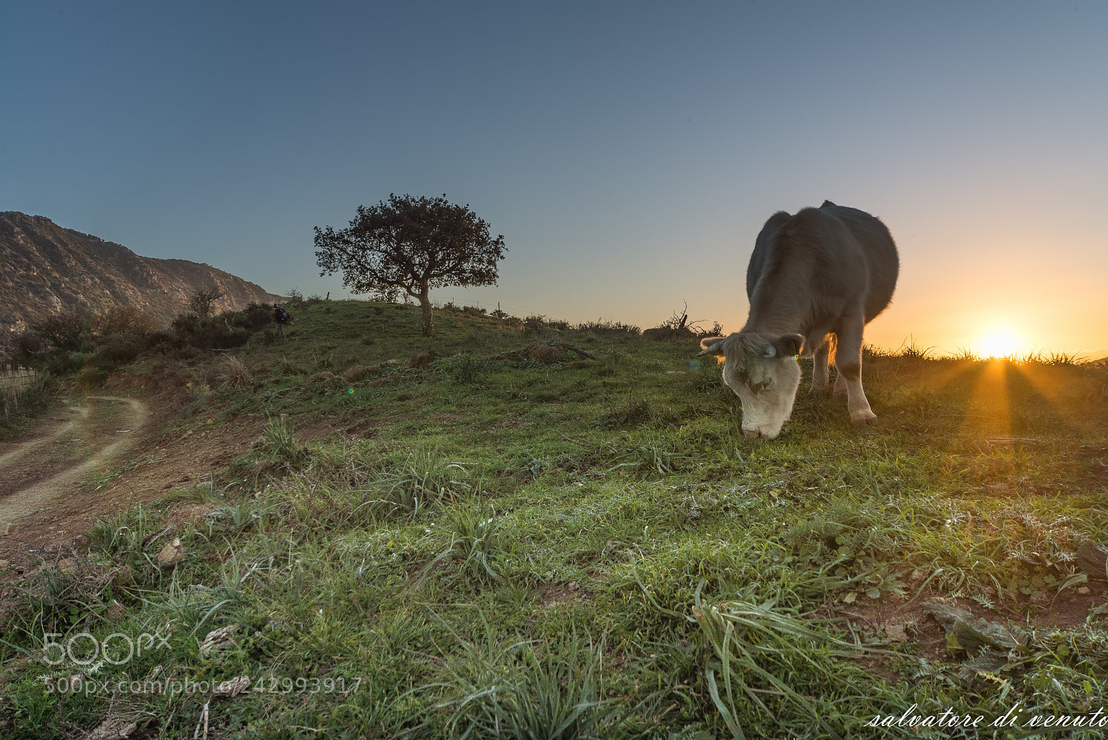 Nikon D610 sample photo. Sicilia photography