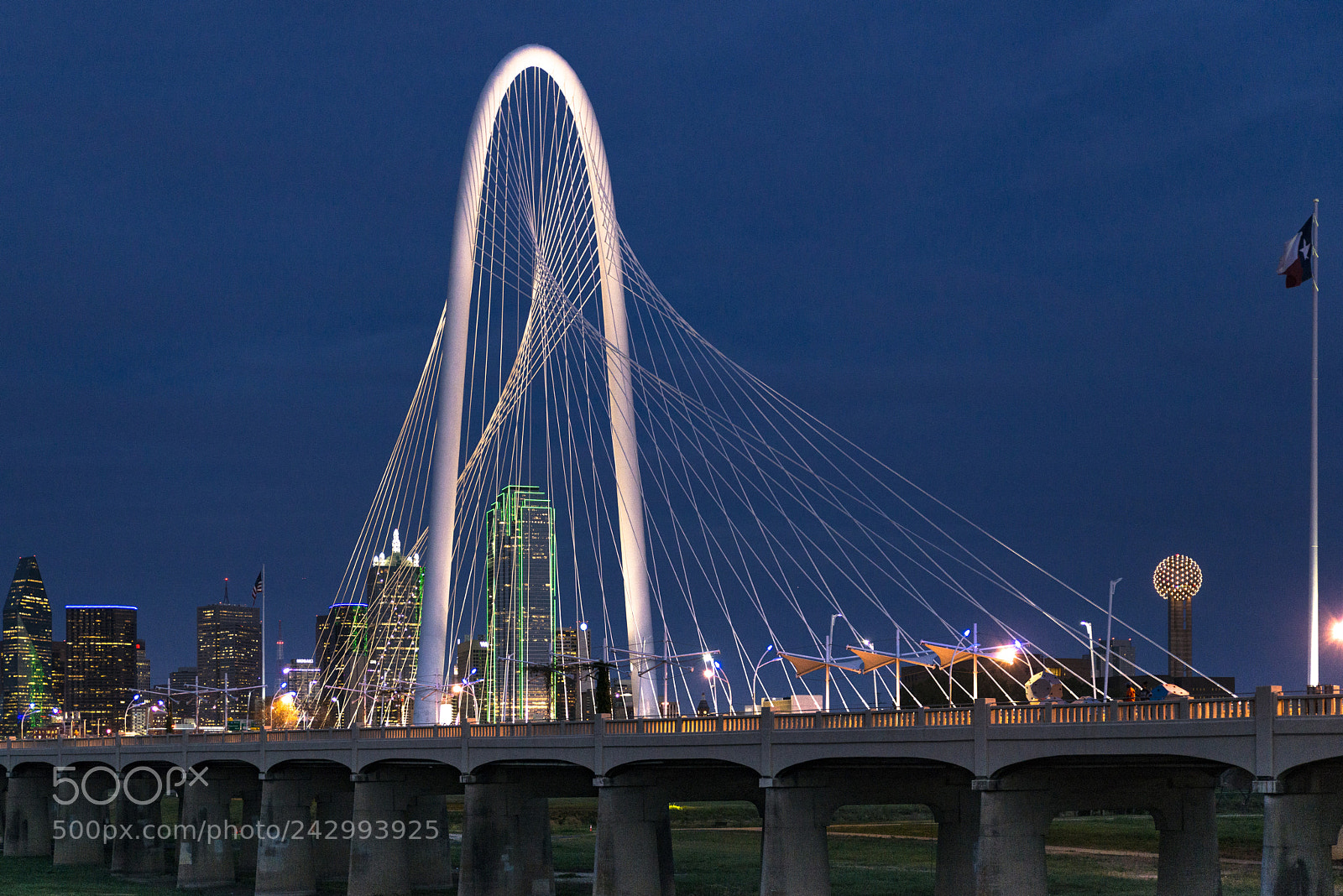 Nikon D800 sample photo. Bridge at night photography