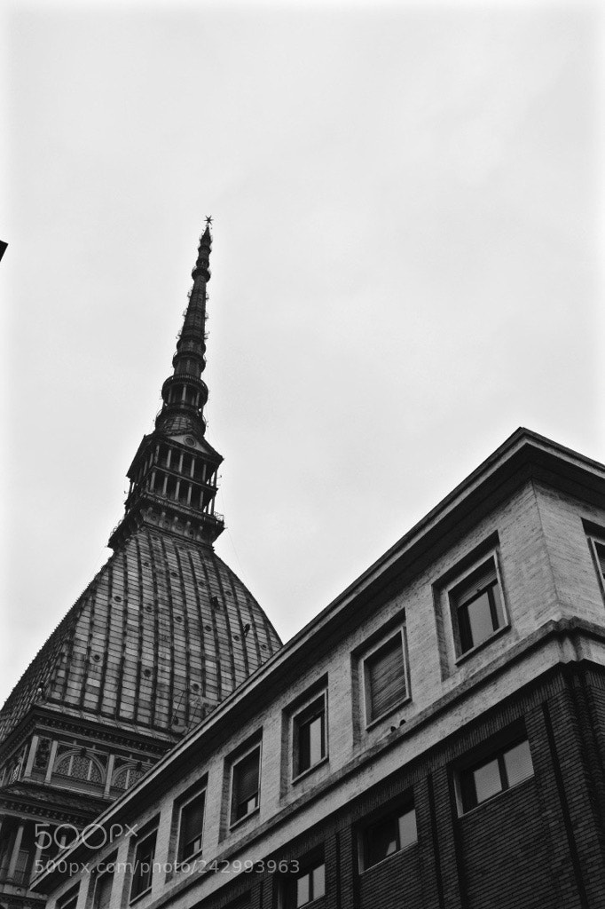 Nikon D3100 sample photo. “turin, essential” photography