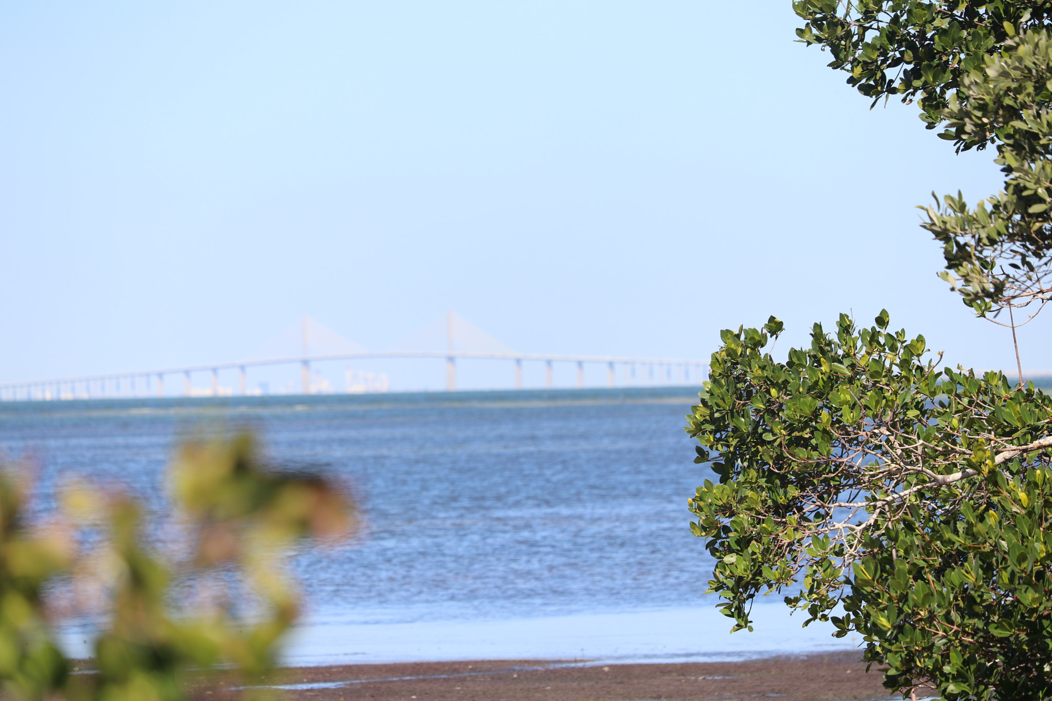 Canon EF-S 55-250mm F4-5.6 IS STM sample photo. Skyway photography