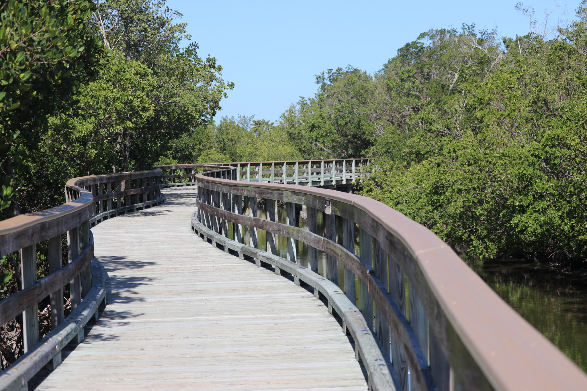 Canon EF-S 55-250mm F4-5.6 IS STM sample photo. Follow the winding trail photography