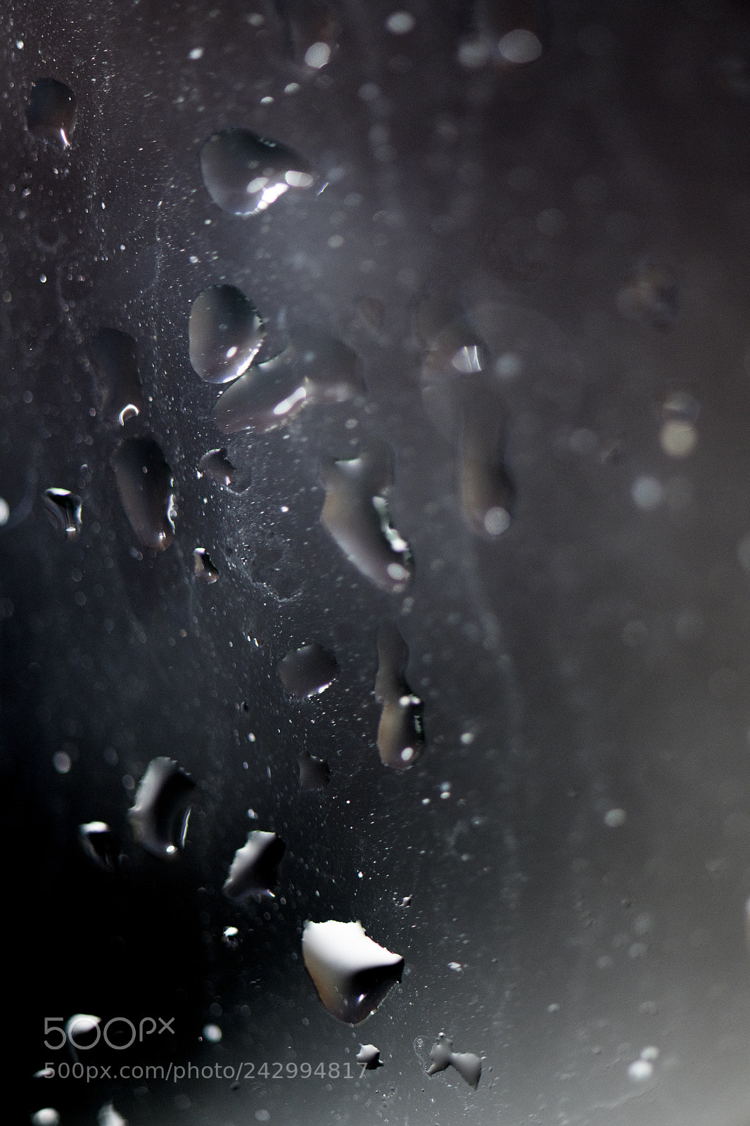 Nikon D850 sample photo. Window photography