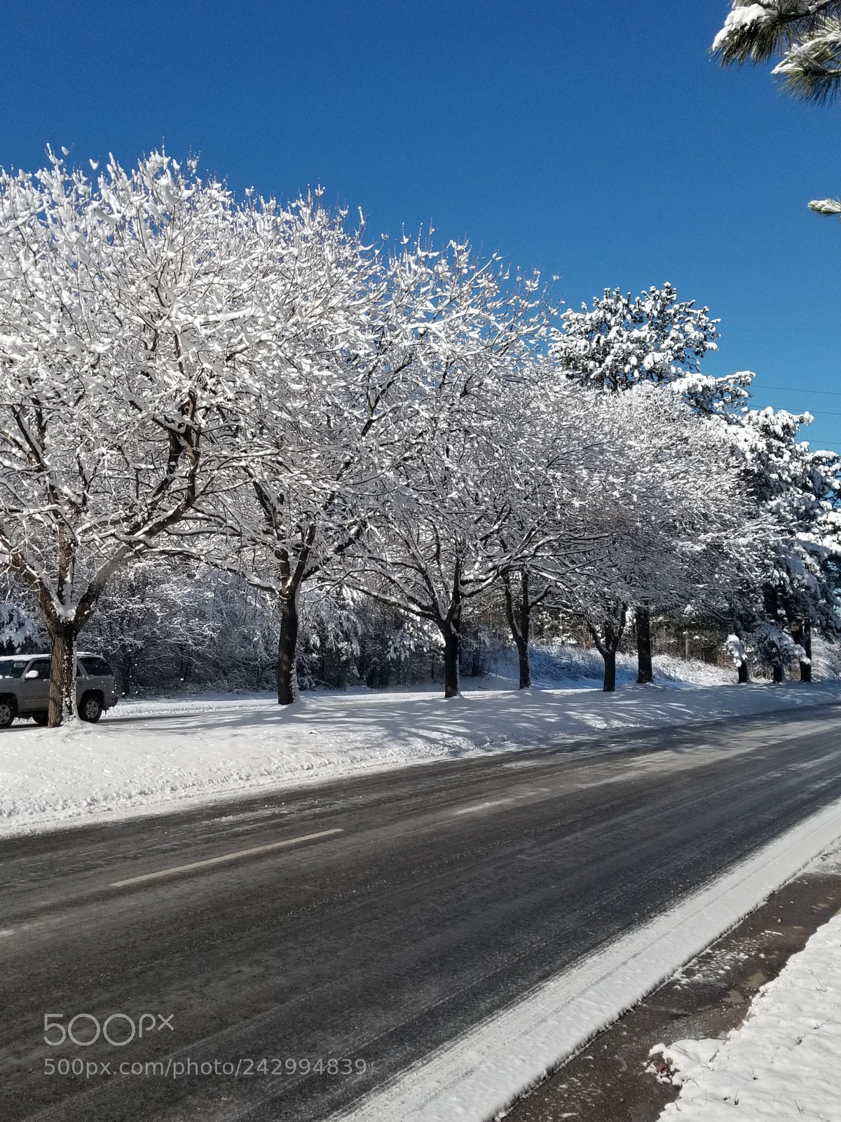 Samsung Galaxy S8+ sample photo. Morning walk photography