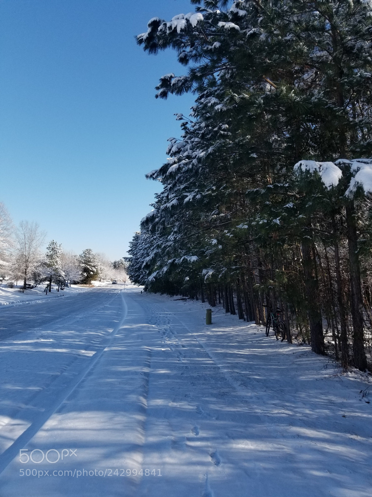 Samsung Galaxy S8+ sample photo. Morning walk photography
