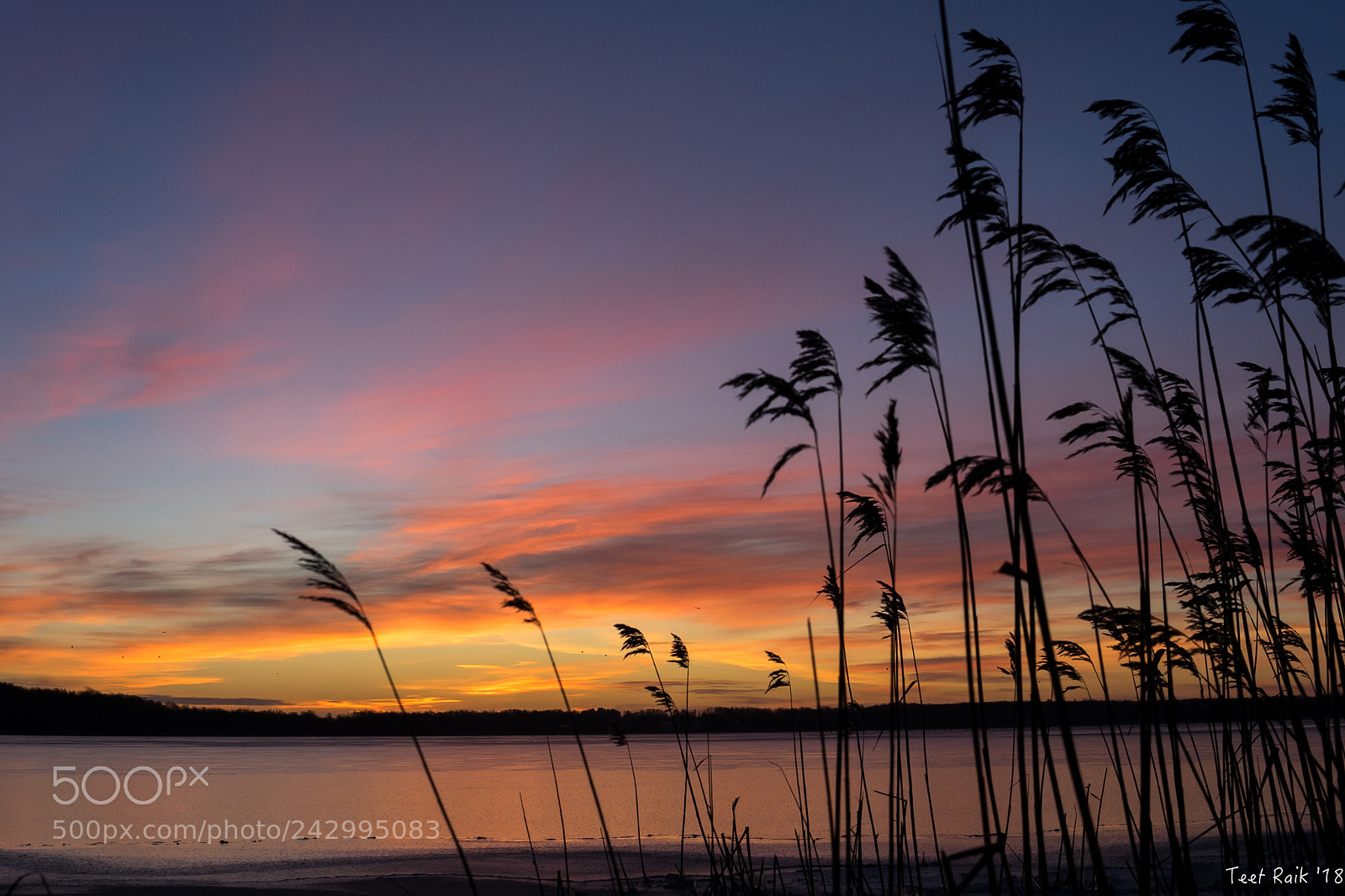 Sony a7 II sample photo. Sunrise at the icy photography