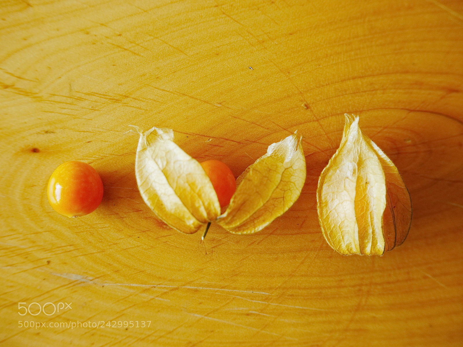 Panasonic Lumix DMC-GH2 sample photo. Physalis photography