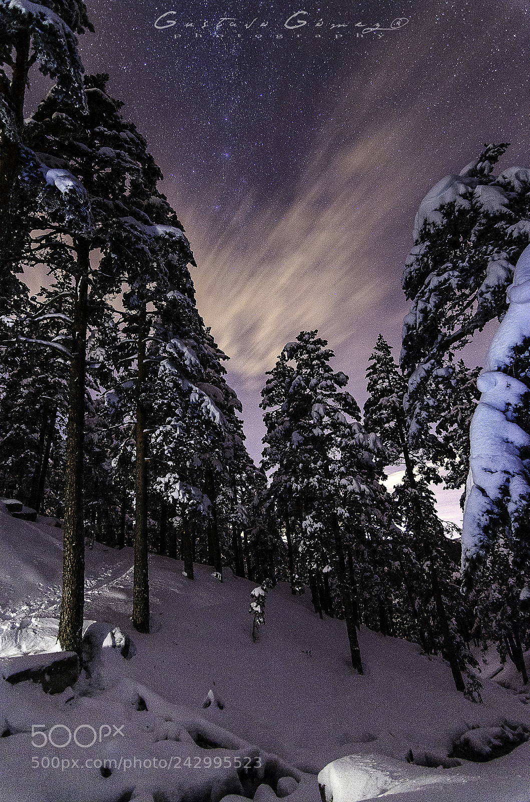 Nikon D5100 sample photo. Camino schmitd navacerrada  photography