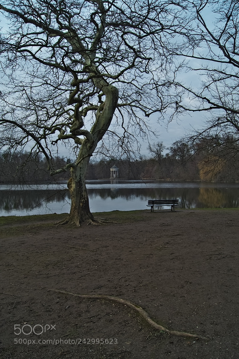 Sony SLT-A58 sample photo. Nachmittags im park photography