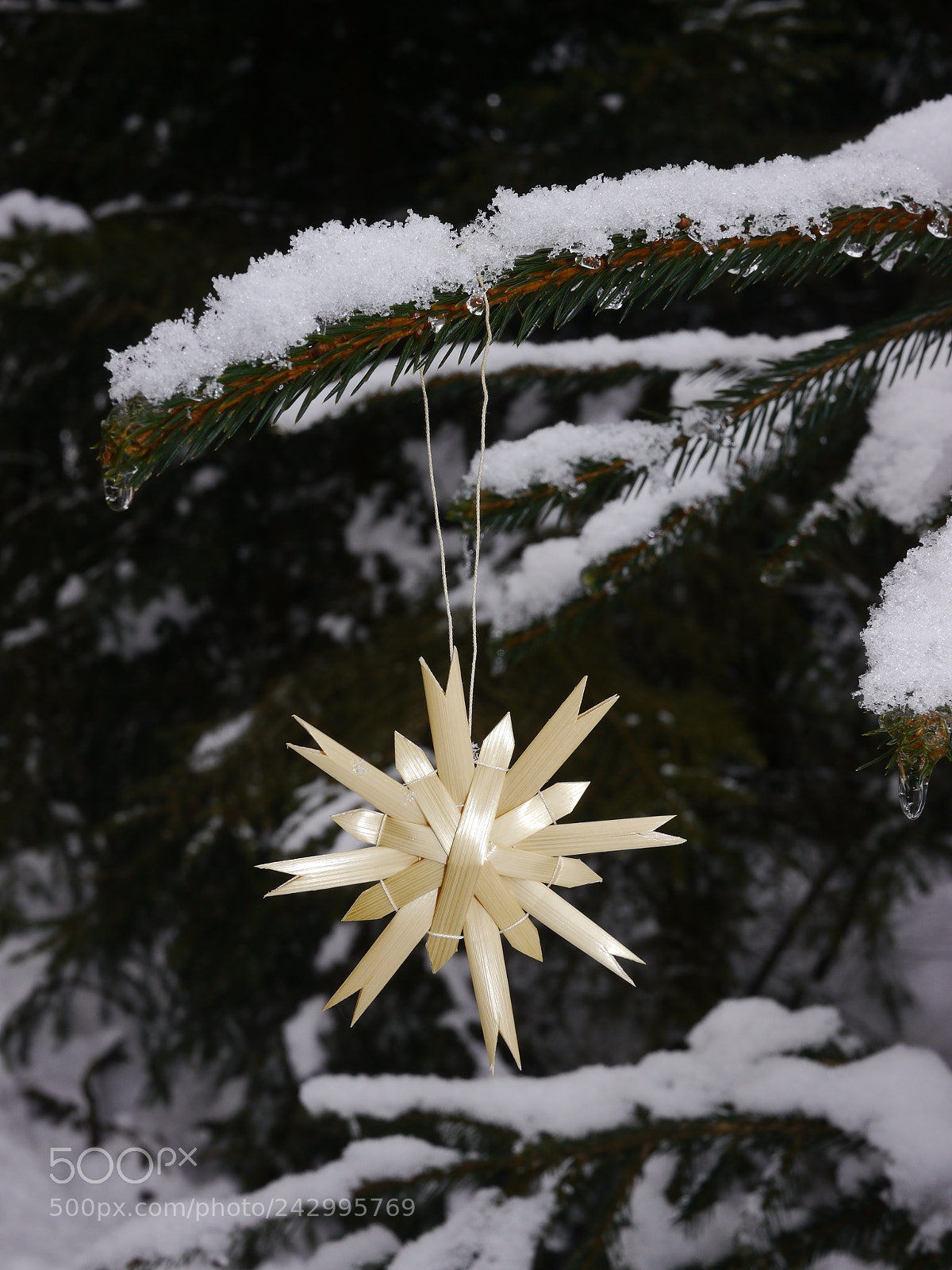 Panasonic Lumix DMC-GH2 sample photo. Different christmas decoration hanging photography