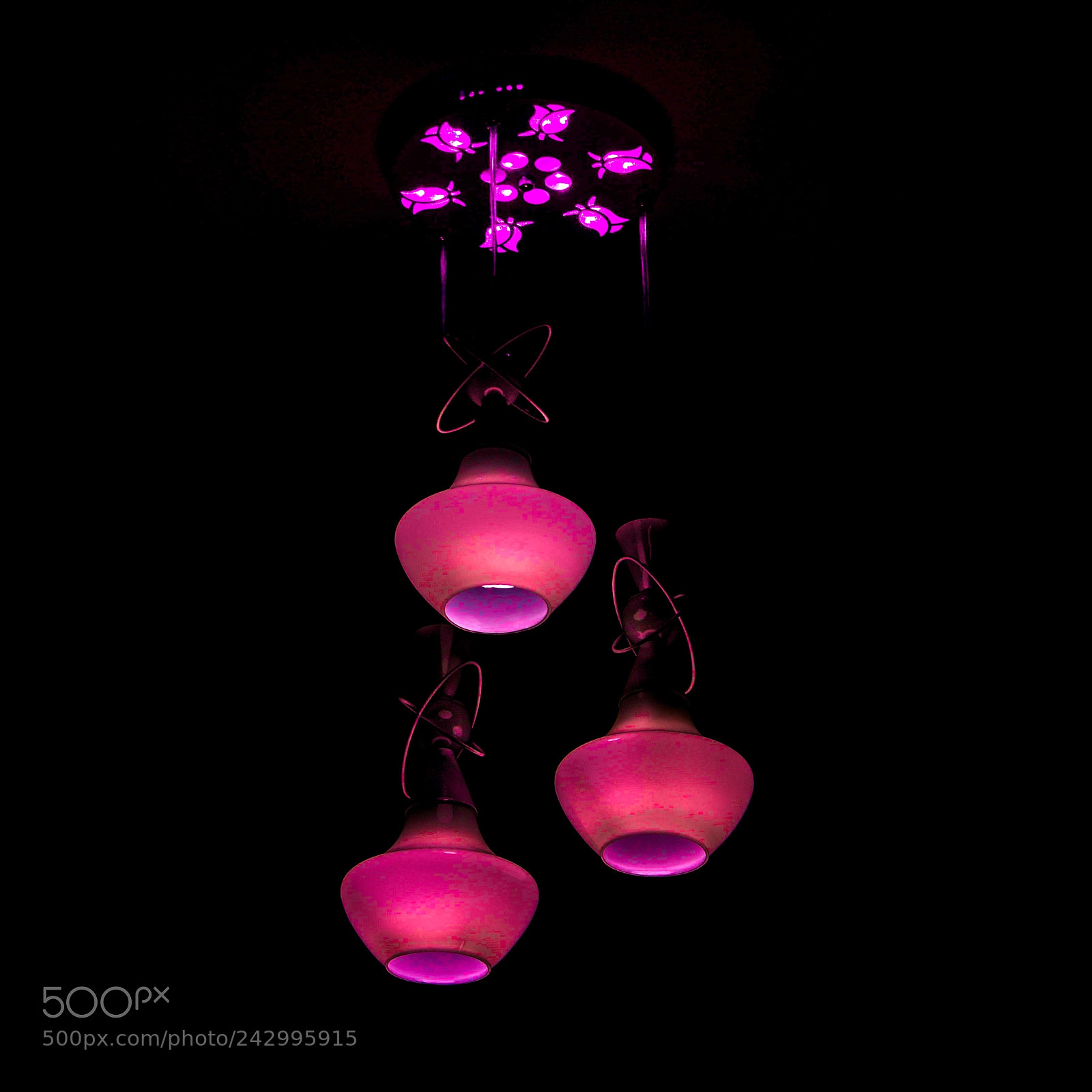 Nikon D5500 sample photo. Lights photography