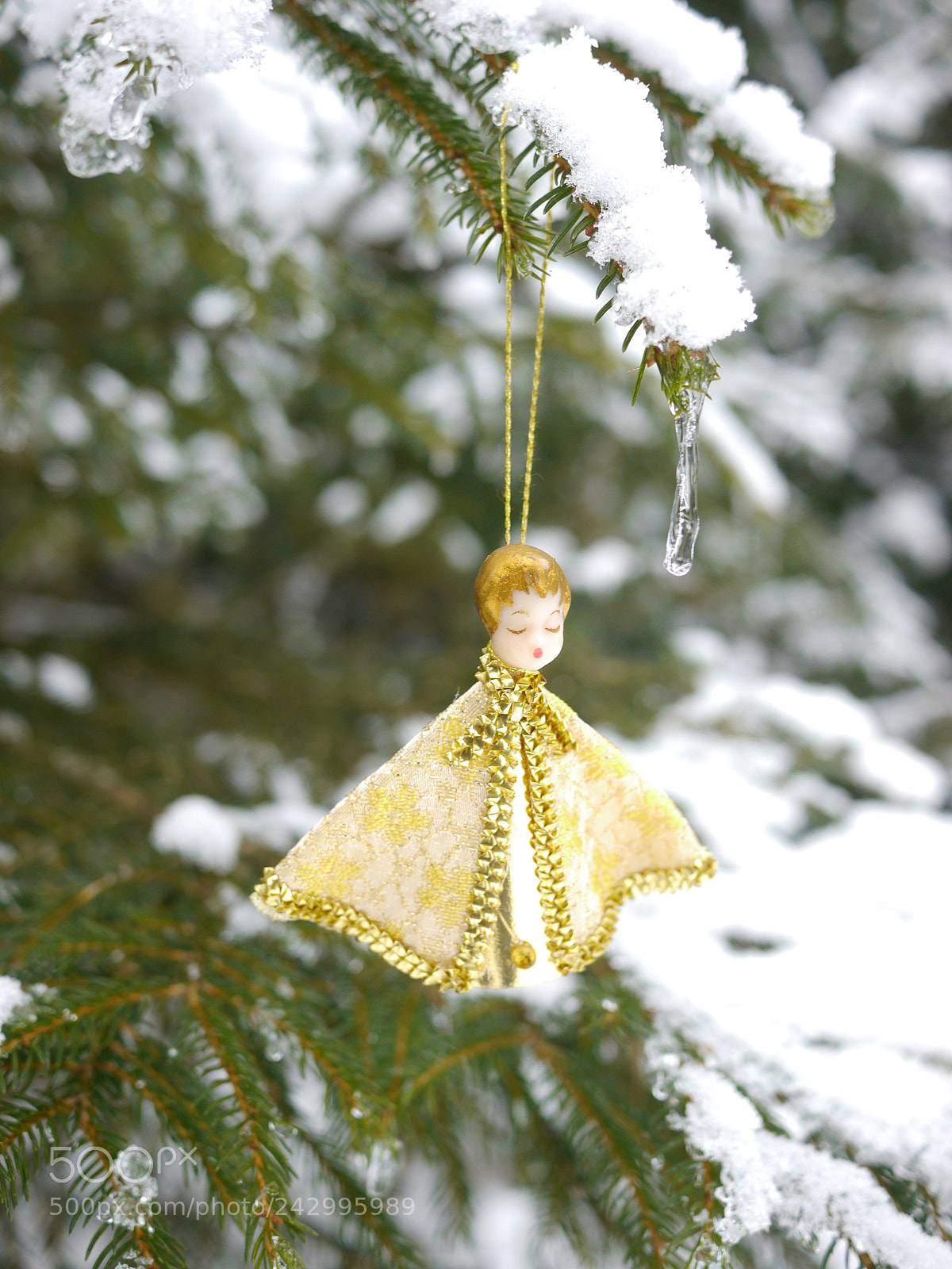 Panasonic Lumix DMC-GH2 sample photo. Christmas tree photography