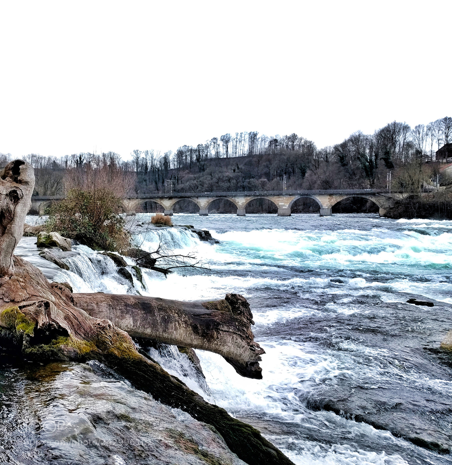 LG Nexus 5X sample photo. Rheinfall photography