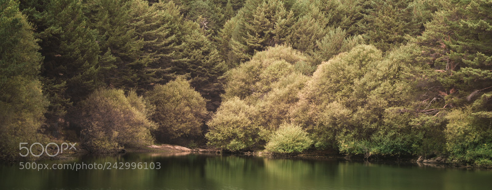 Nikon D7100 sample photo. Verde photography