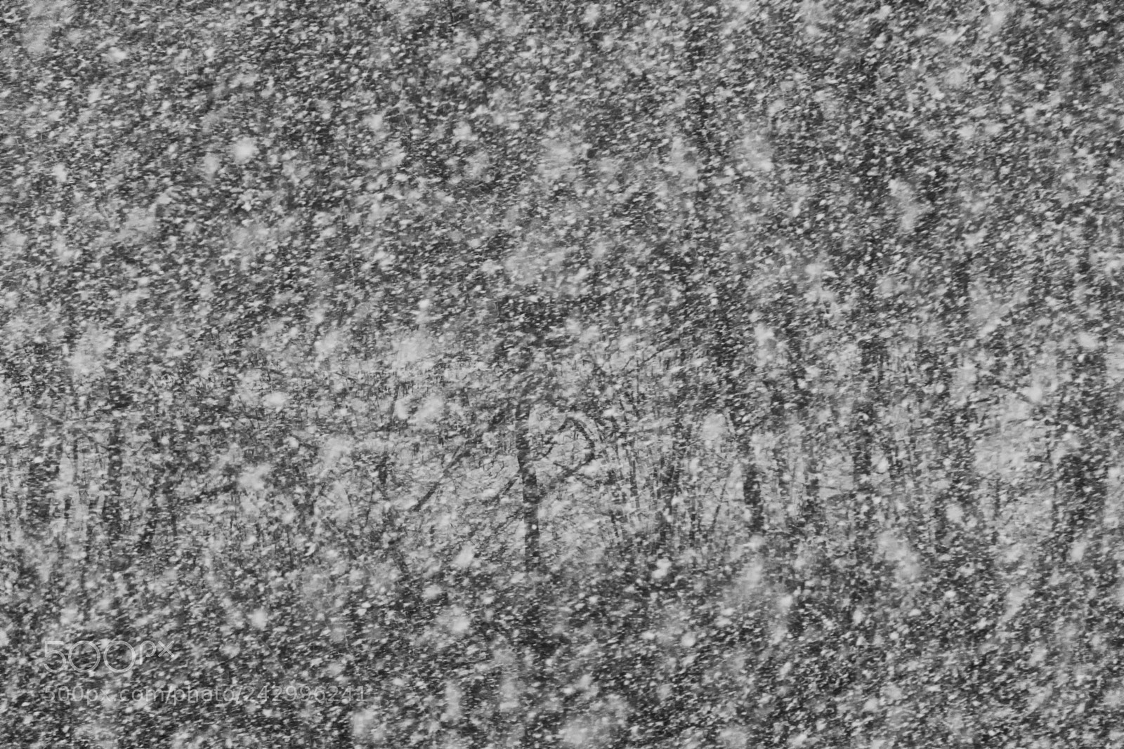 Nikon D7100 sample photo. Schneesturm photography
