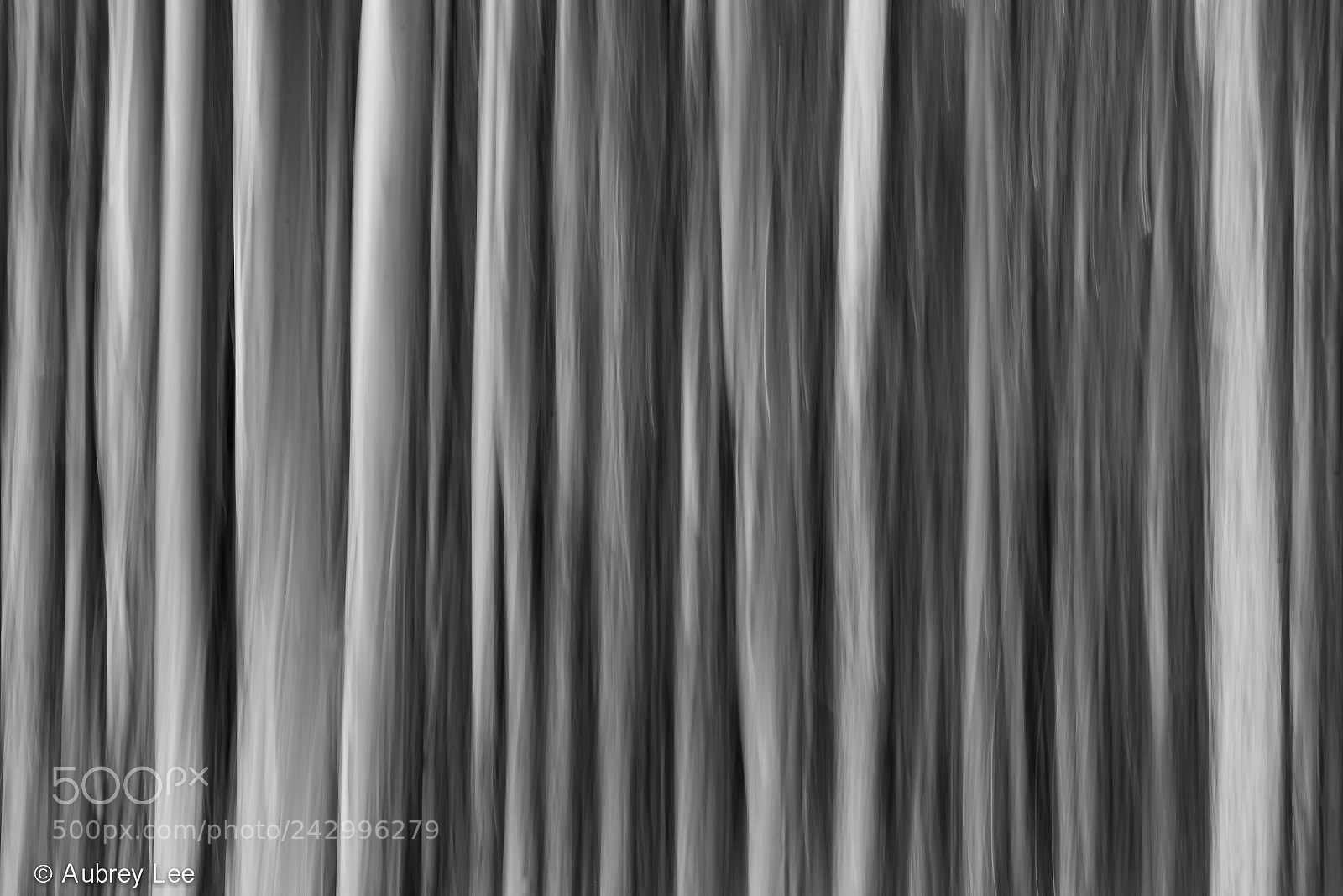 Nikon D610 sample photo. Blurred lines photography