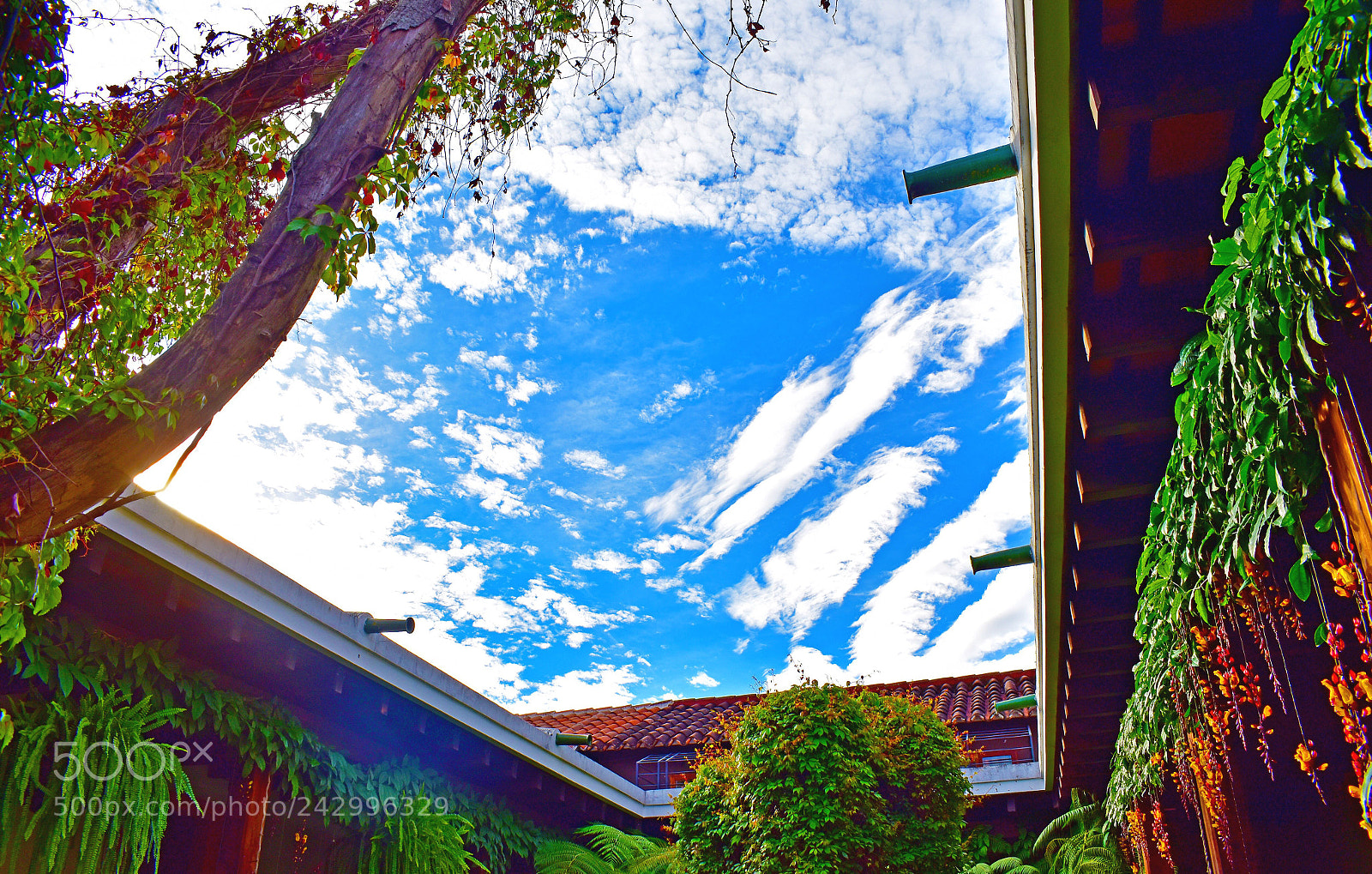 Nikon D5600 sample photo. Untitled photography