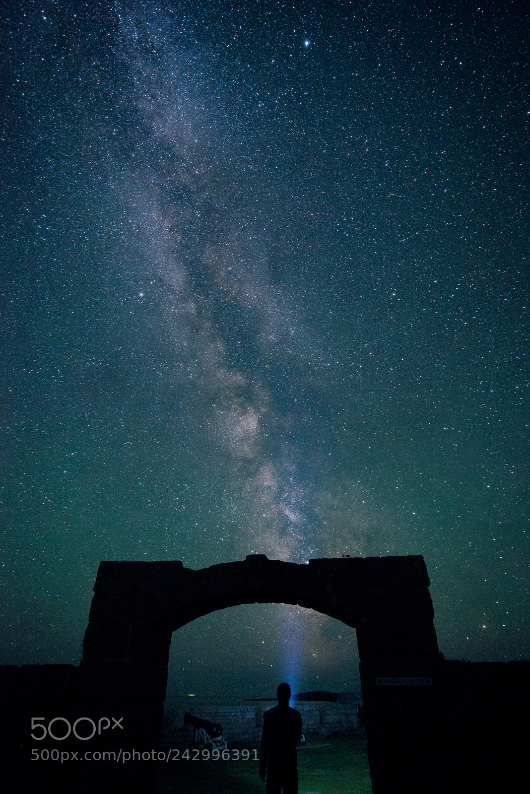Nikon D610 sample photo. Milky way selfie photography