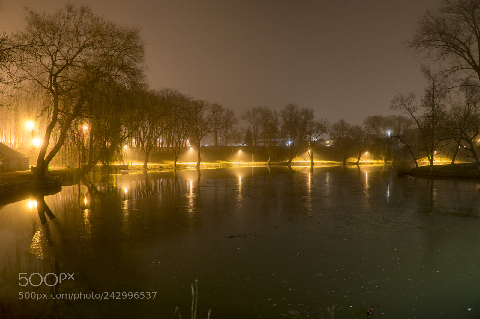 Sony ILCA-77M2 sample photo. Kretinga park photography