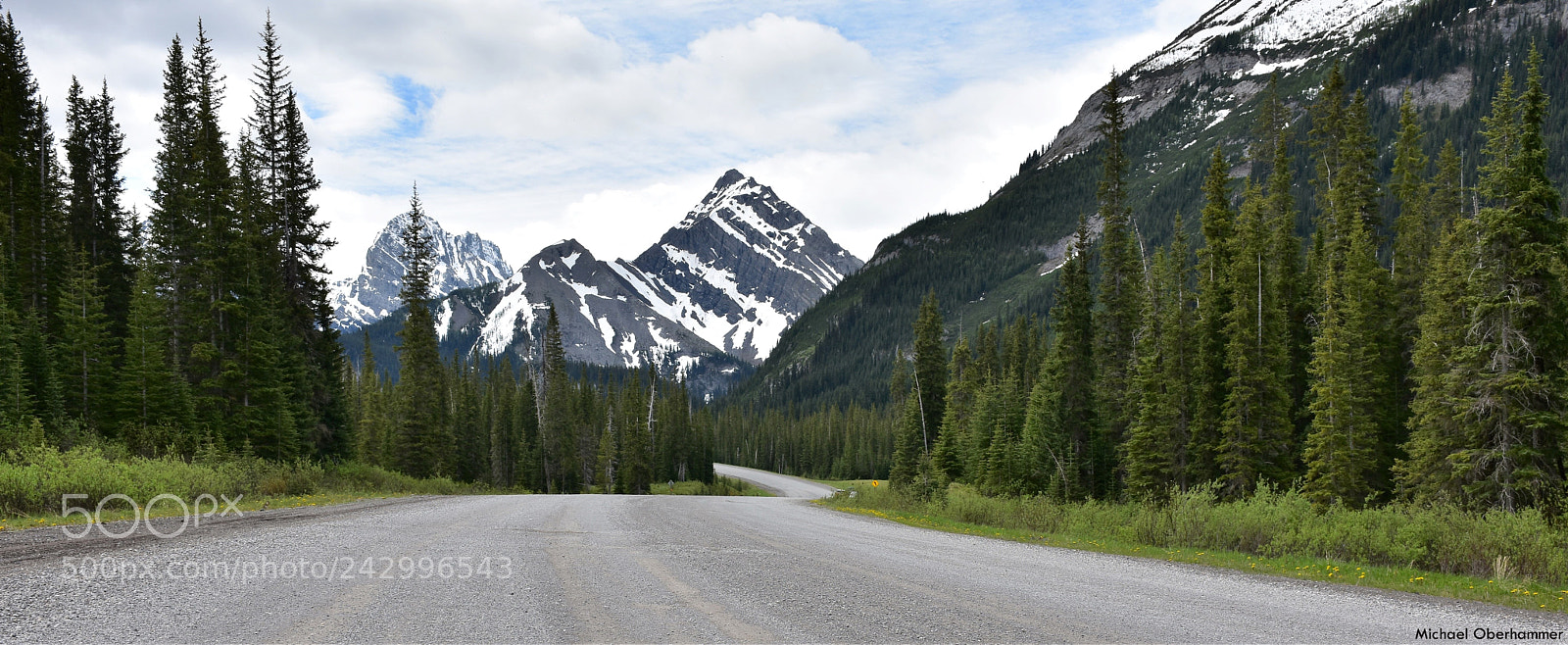 Nikon D7200 sample photo. Into the wild photography
