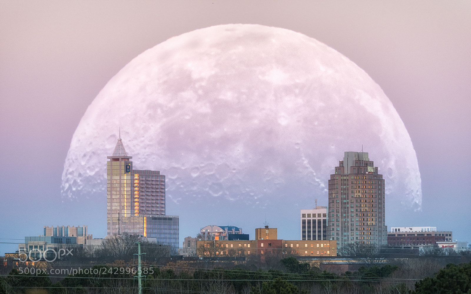 Nikon D810 sample photo. Untitled photography