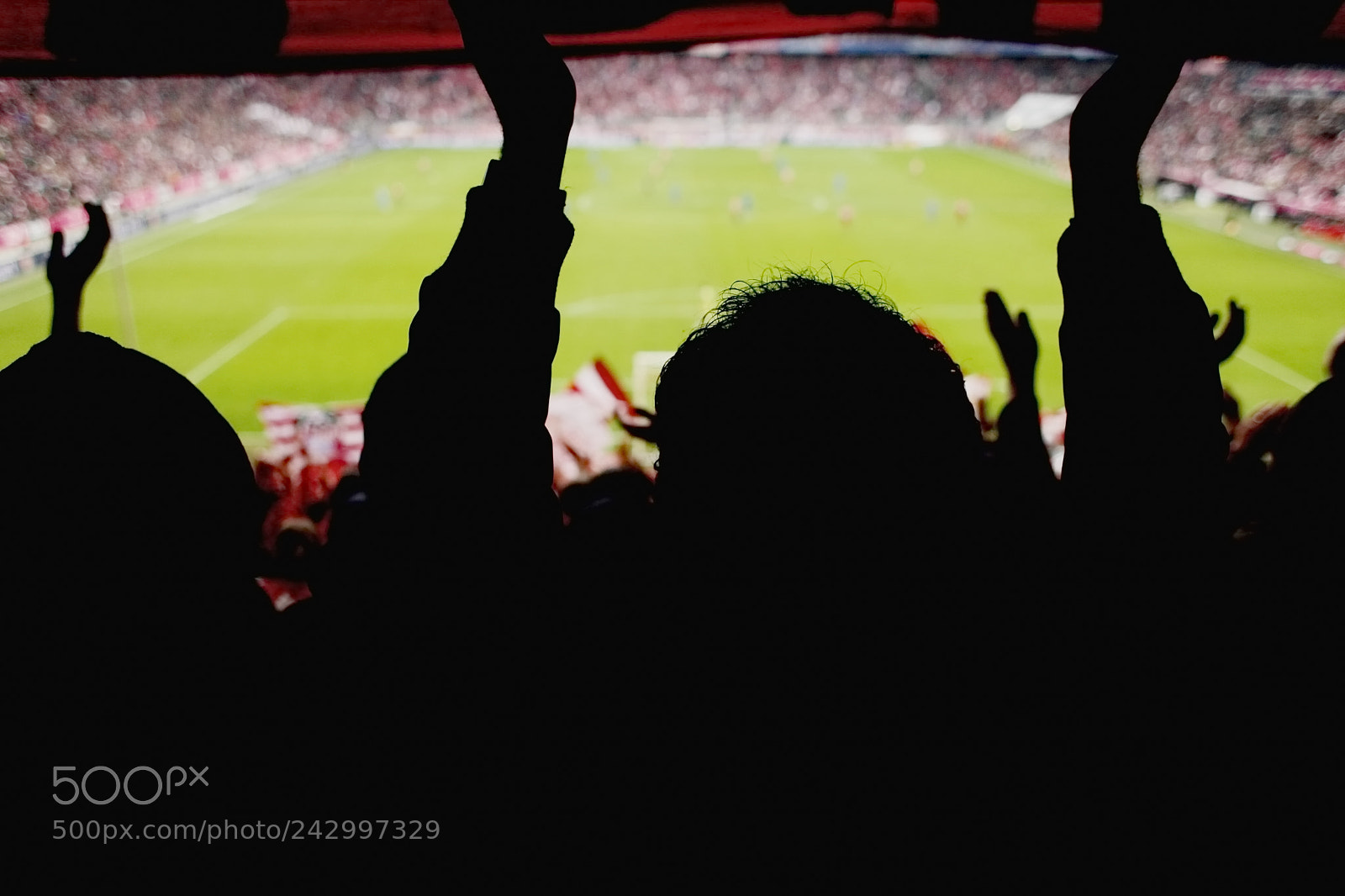 Canon EOS 5D Mark II sample photo. Fans cheering soccer game photography