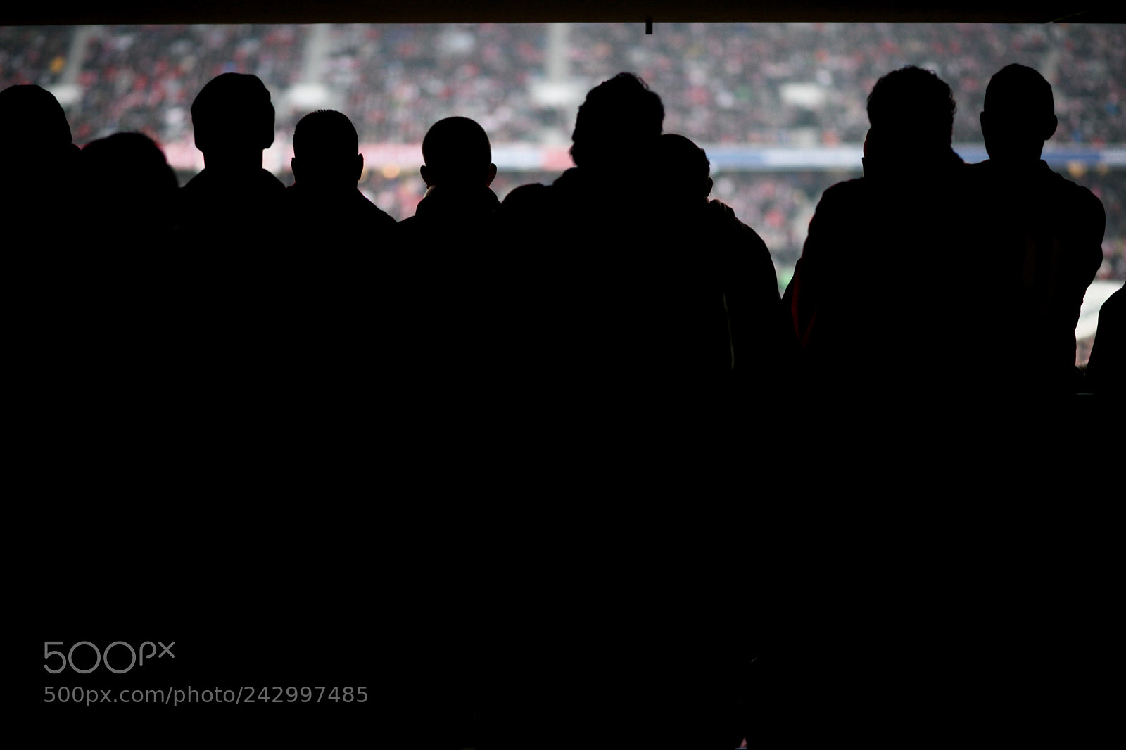 Canon EOS 5D Mark II sample photo. Fans cheering soccer game photography