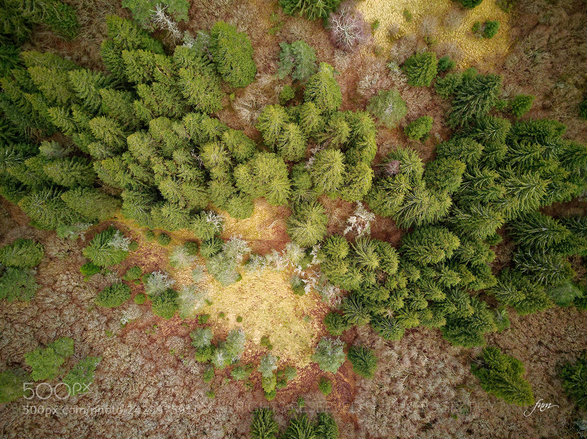 DJI FC220 sample photo. Puy de la vache photography