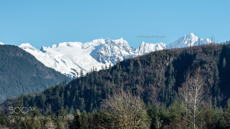 Nikon D4 sample photo. Washington photography