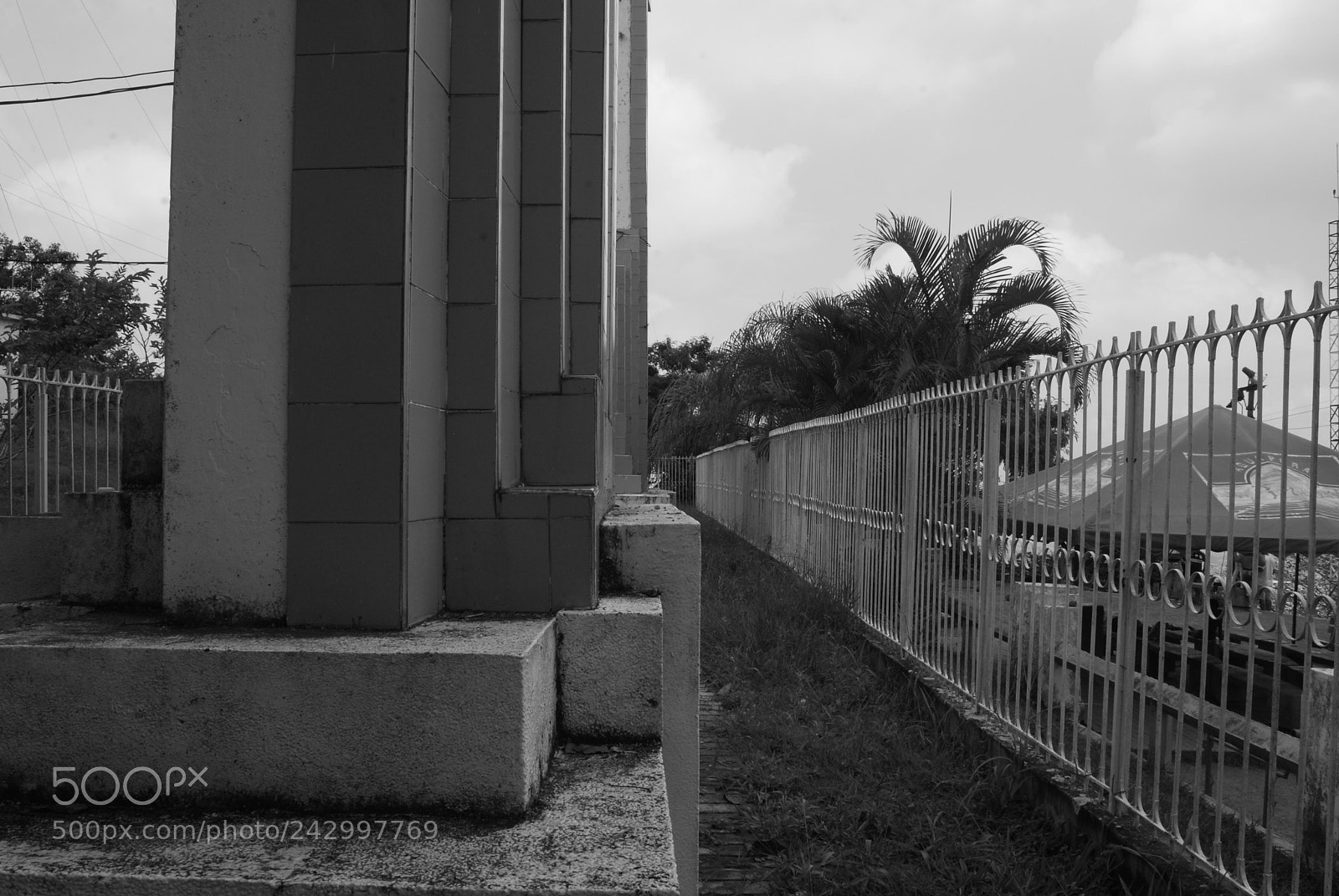 Nikon D40X sample photo. Iloveimg converted photography