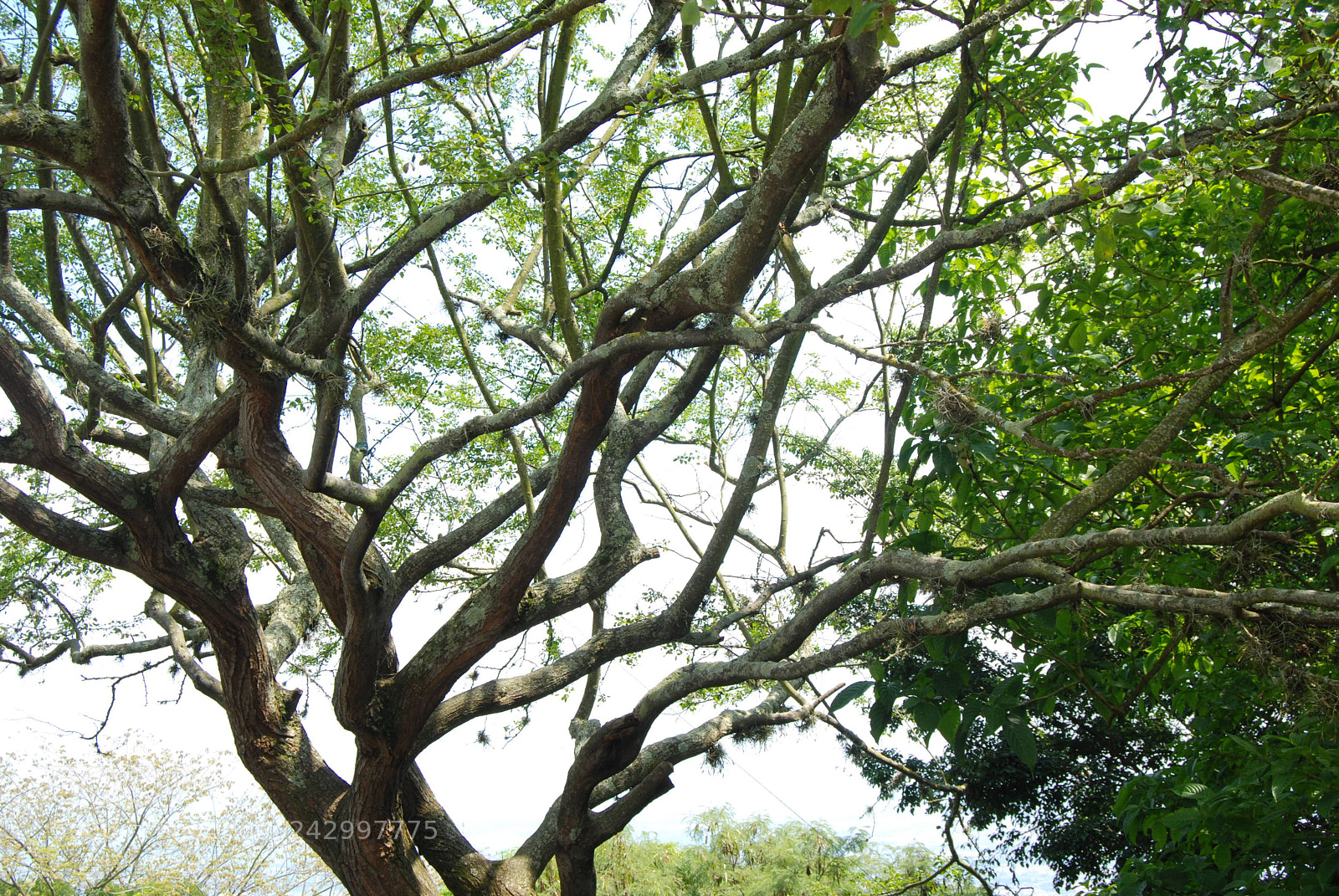 Nikon D40X sample photo. Iloveimg converted photography