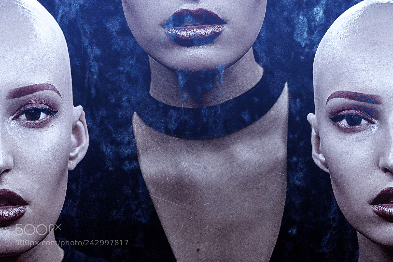 Nikon D810 sample photo. Dead photography