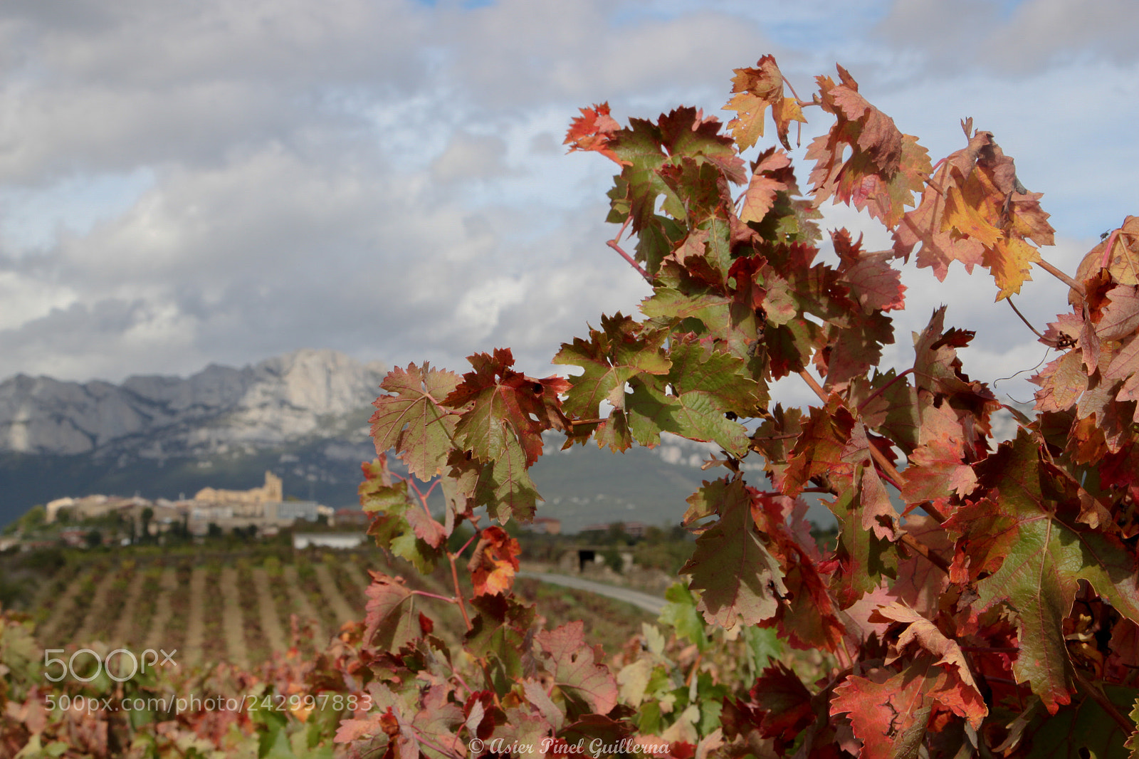 Canon EOS 500D (EOS Rebel T1i / EOS Kiss X3) sample photo. Rioja alavesa photography