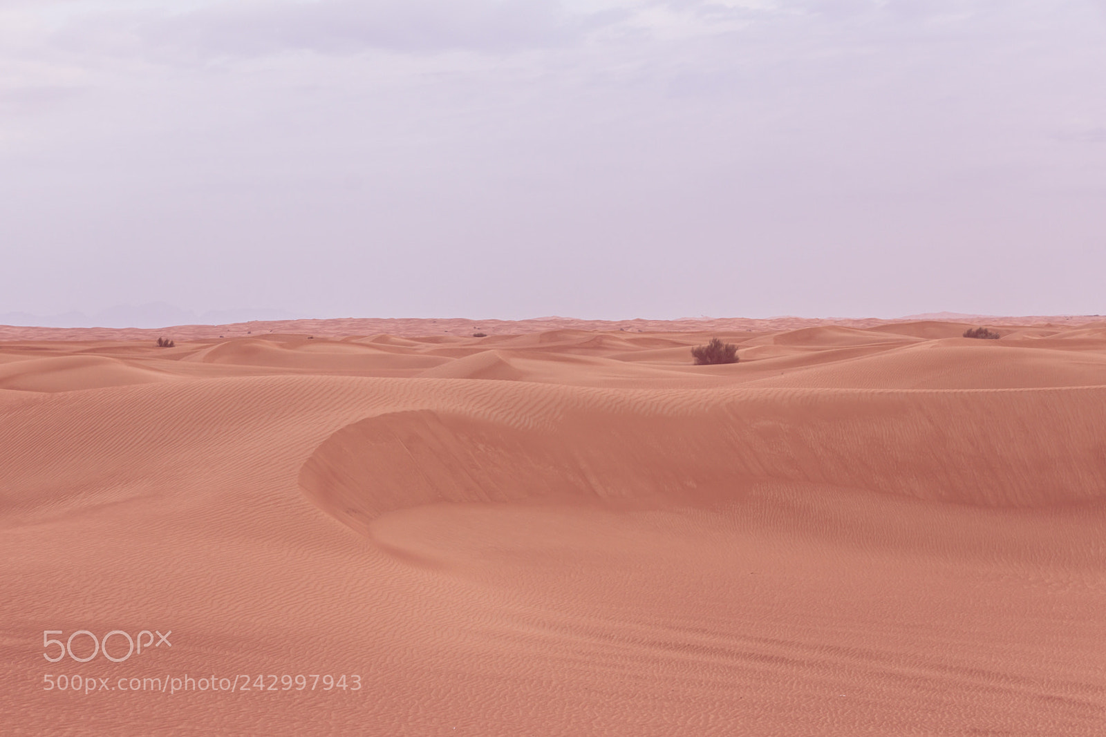 Sony SLT-A65 (SLT-A65V) sample photo. Desert photography