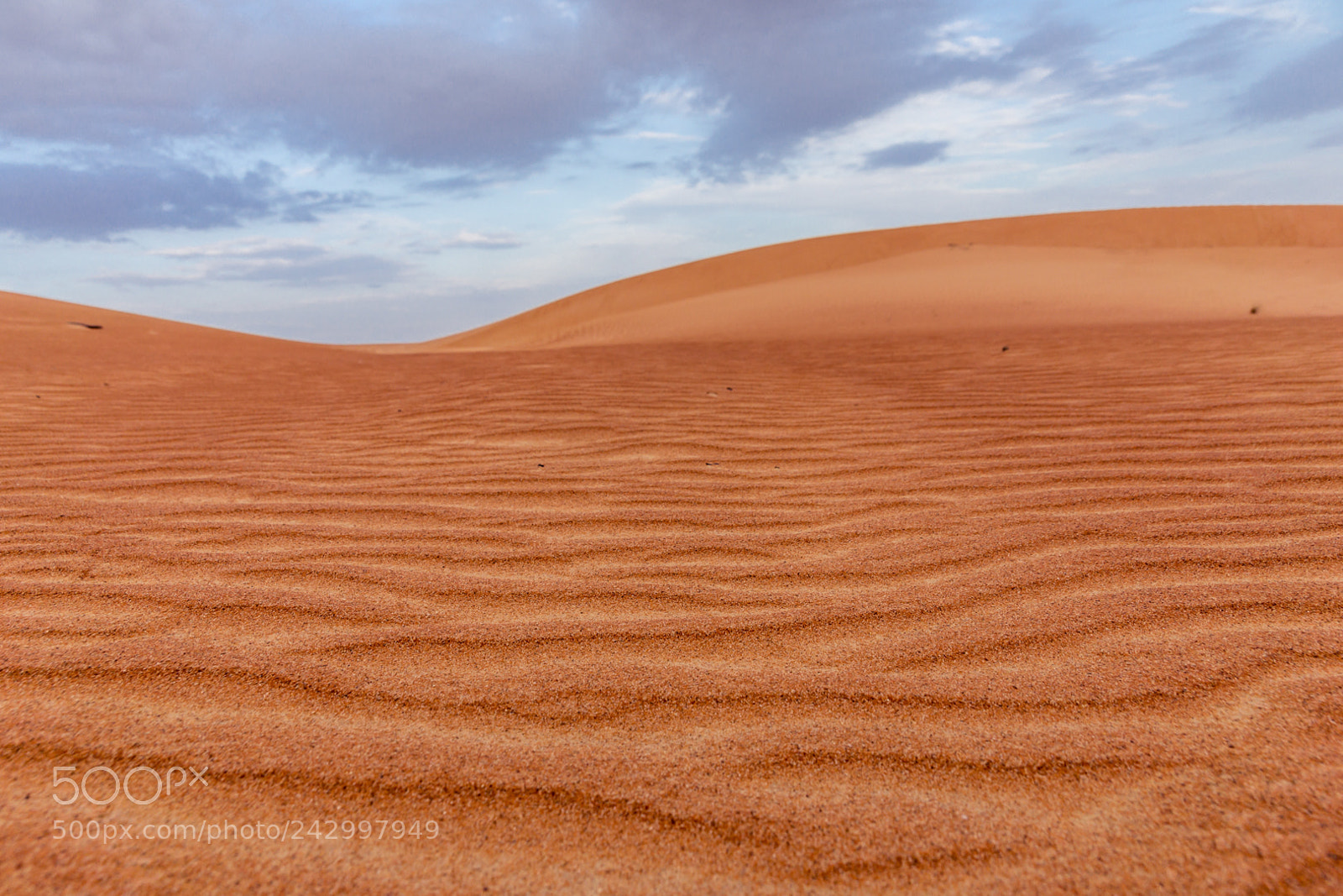 Sony SLT-A65 (SLT-A65V) sample photo. Desert photography