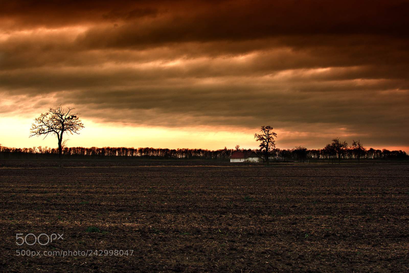 Nikon D7100 sample photo. Anapfelkelte photography