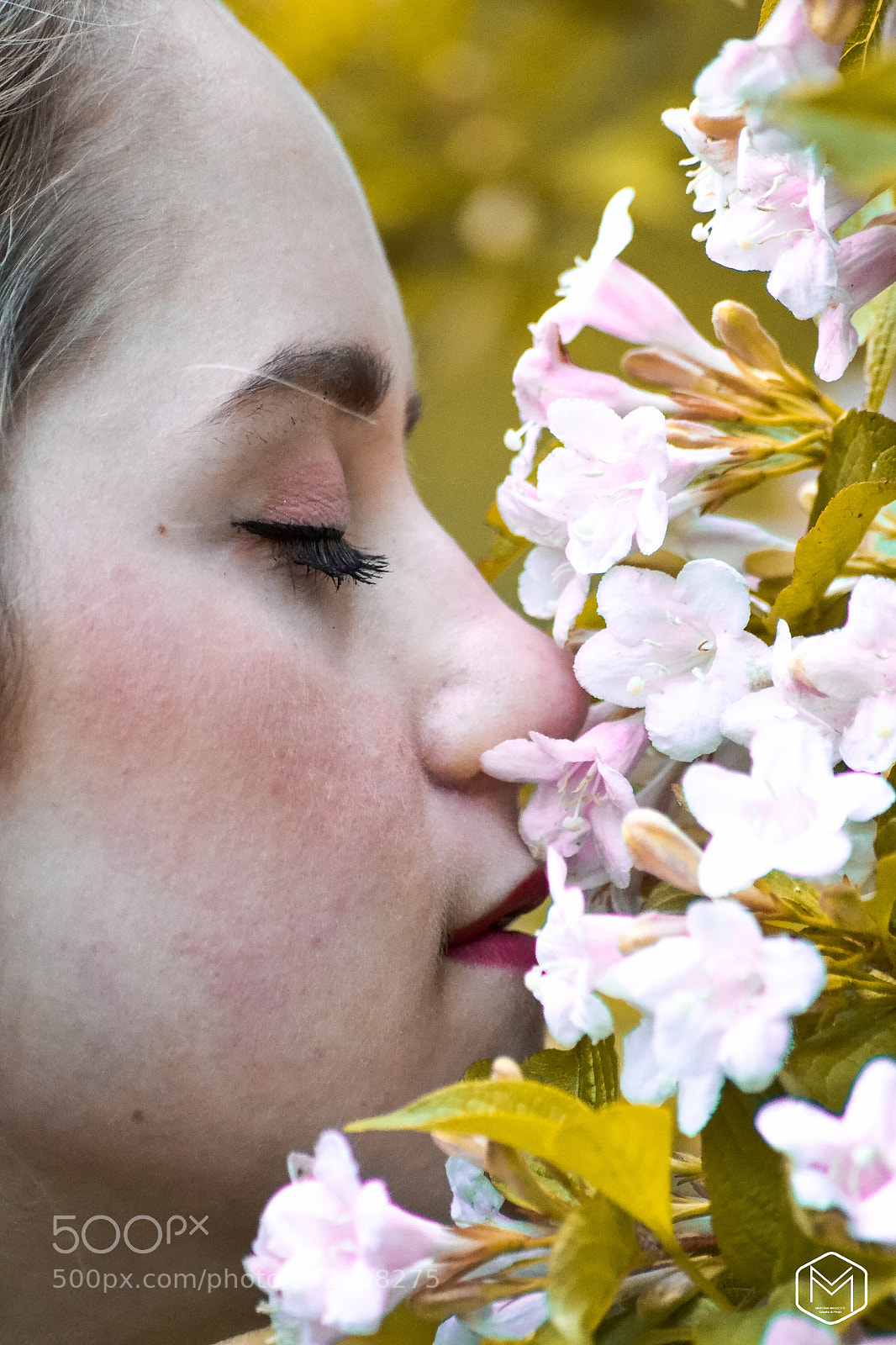 Nikon D3100 sample photo. Sara_flower photography