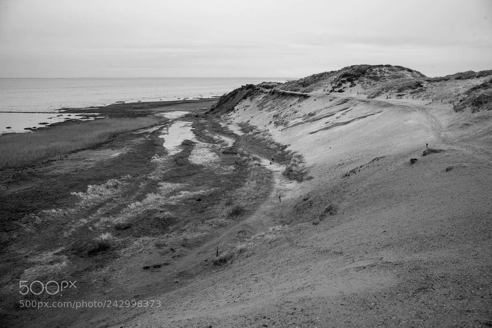 Leica M Monochrom (Typ 246) sample photo. Morsum-kliff photography